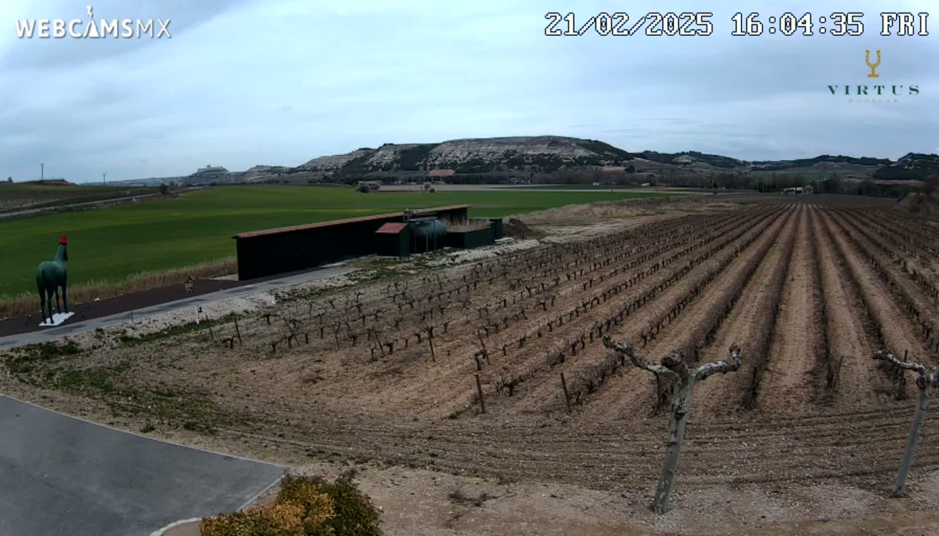 A green statue of a horse stands near a vineyard and a building, under a mostly cloudy sky.