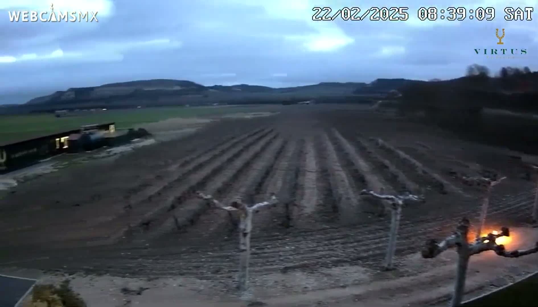 A vineyard under a cloudy, twilight sky, with a small fire burning near the bottom right.