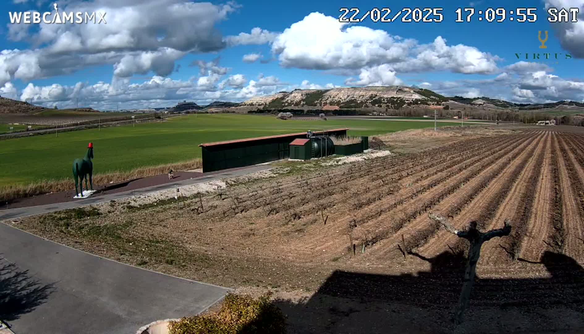 A green horse statue wearing a red hat stands in front of a vineyard under a partly cloudy blue sky.
