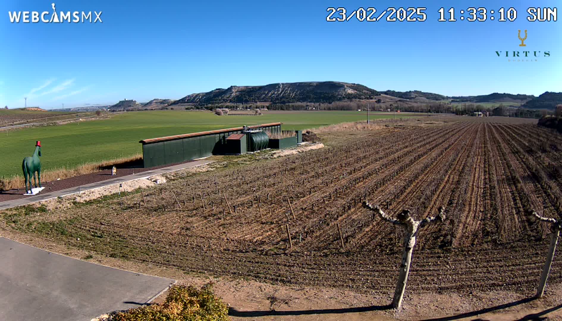 A large, green horse statue stands near a long, dark-green building beside a vineyard under a clear, sunny sky.