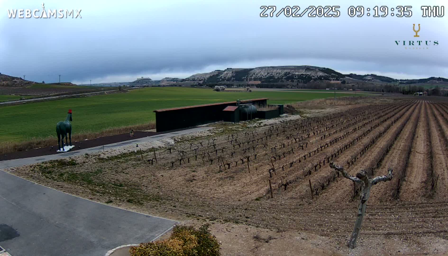 A green horse statue wearing a red hat stands near a vineyard under a cloudy sky, with hills visible in the distance.