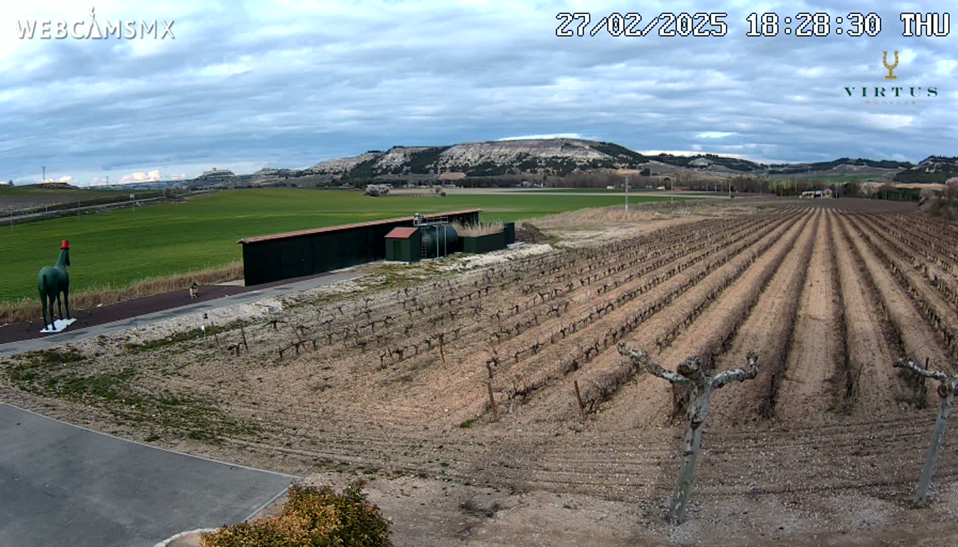 A large vineyard under a cloudy sky stretches across a landscape, featuring a green statue of a horse near a building in the foreground, and hills in the background.