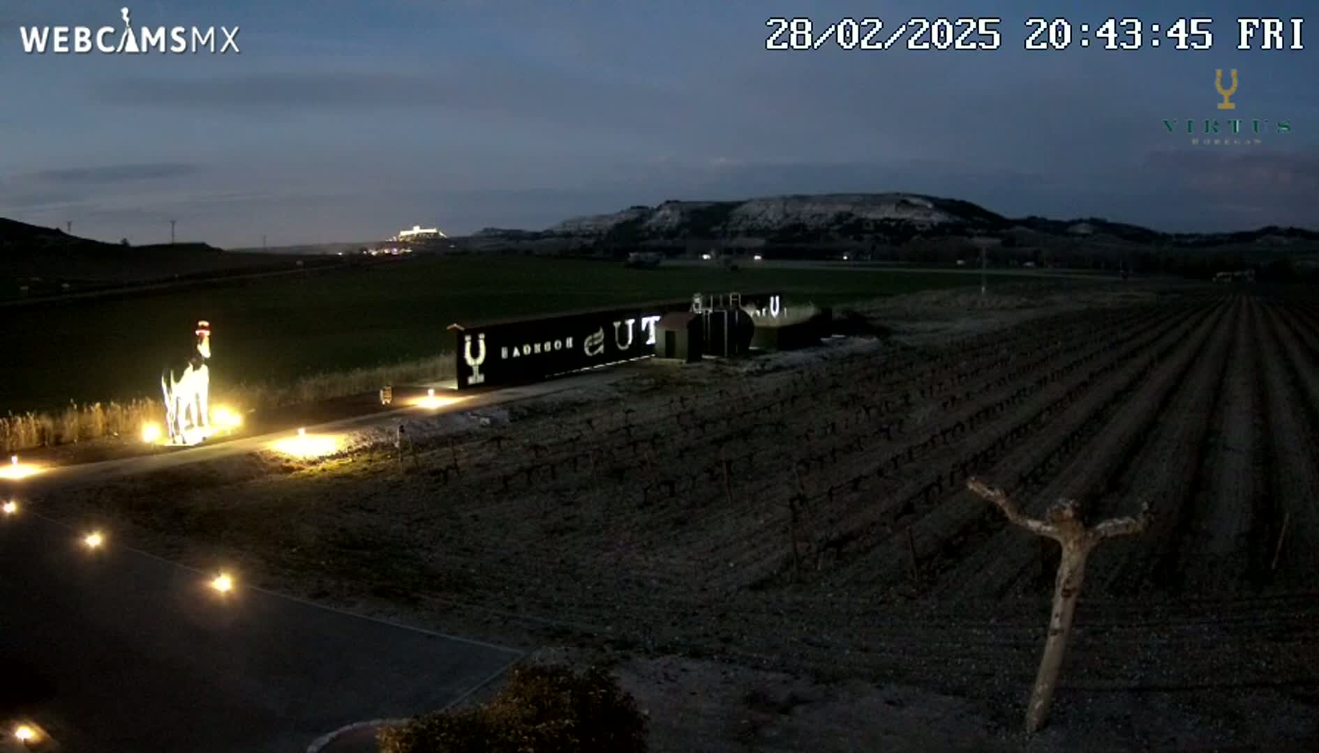 A nighttime view of a vineyard with a sculpture of a horse, illuminated by lights, under a twilight sky.