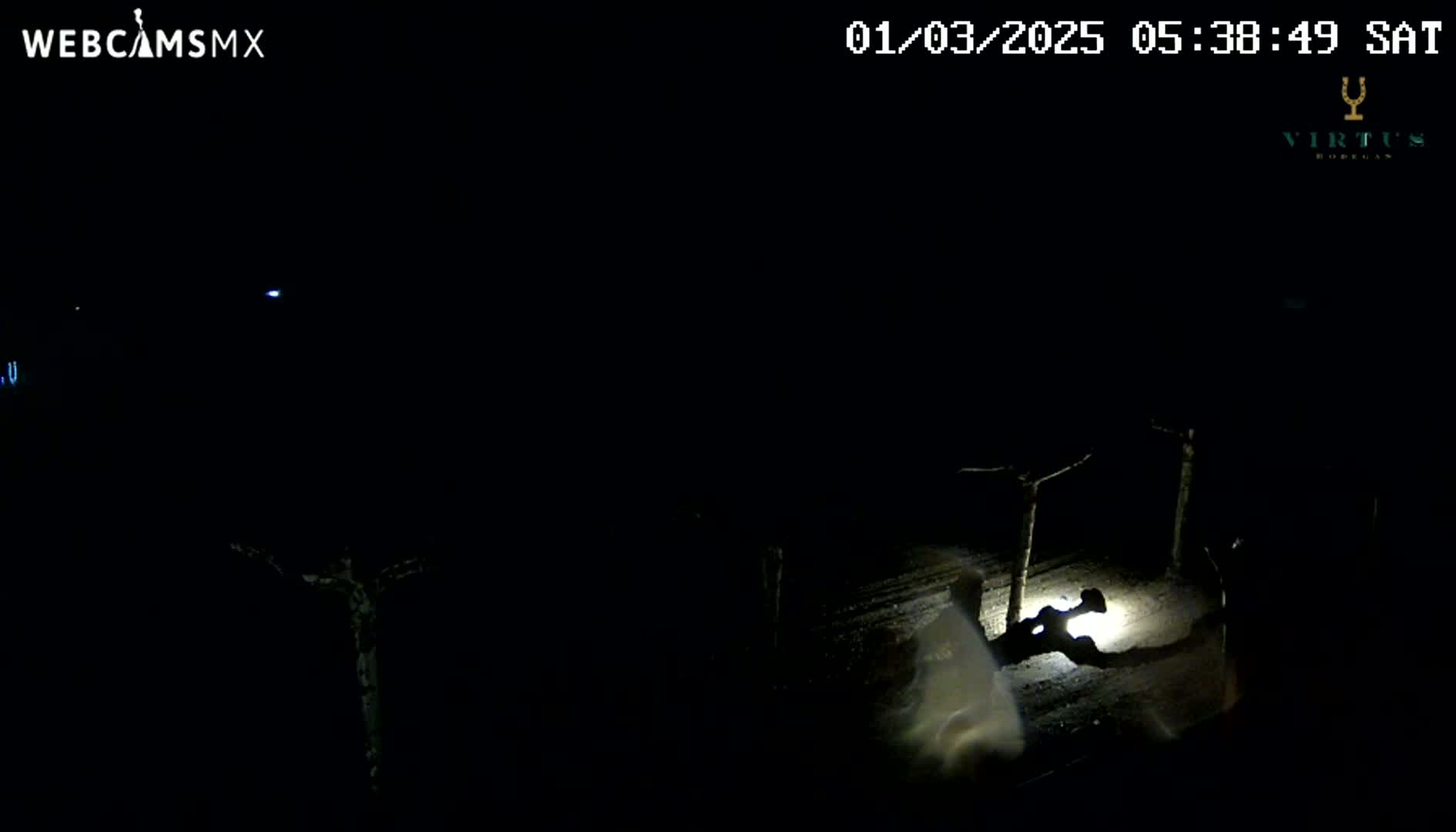 A nighttime, low-light outdoor scene shows a person near some small trees and what appears to be a small vehicle with a light on.
