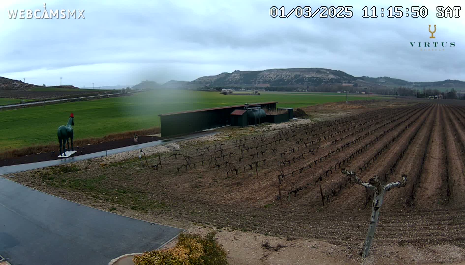 A green horse statue wearing a red hat stands near a vineyard and a building under an overcast sky.