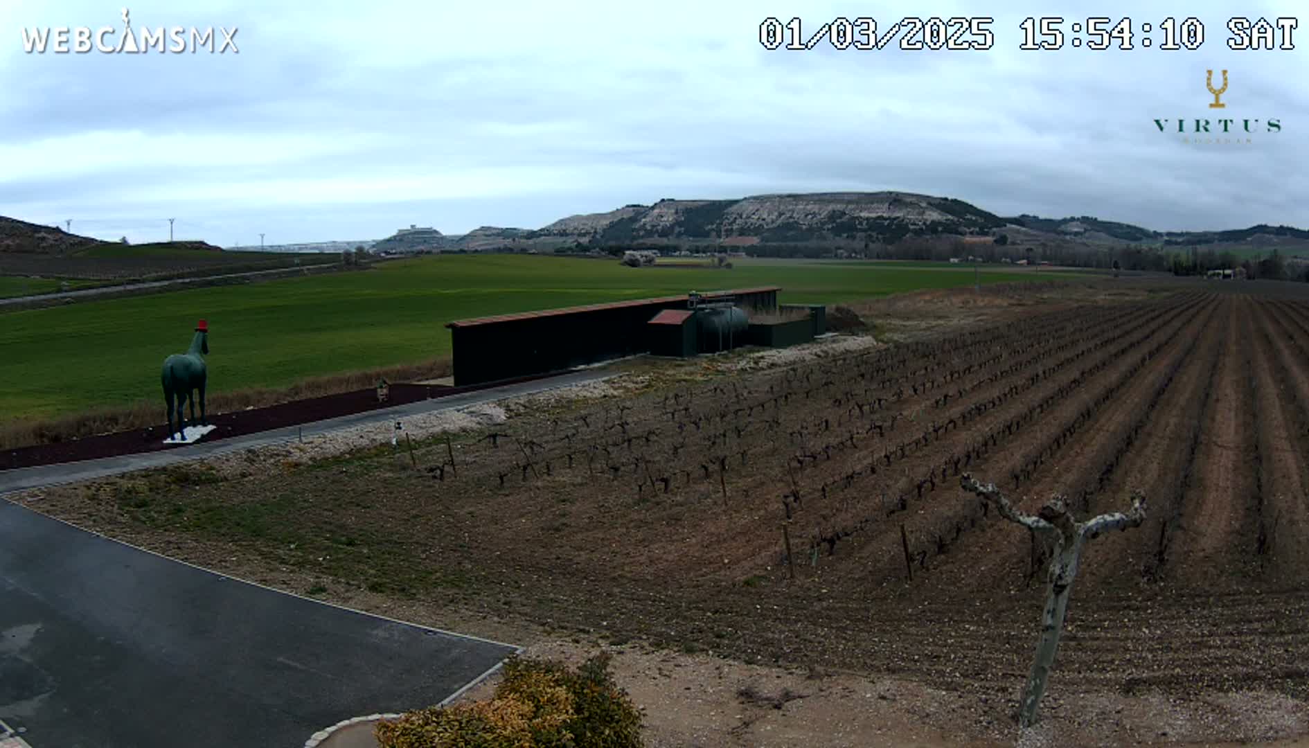 A green horse statue stands in front of a long, dark building next to a vineyard under a cloudy sky.
