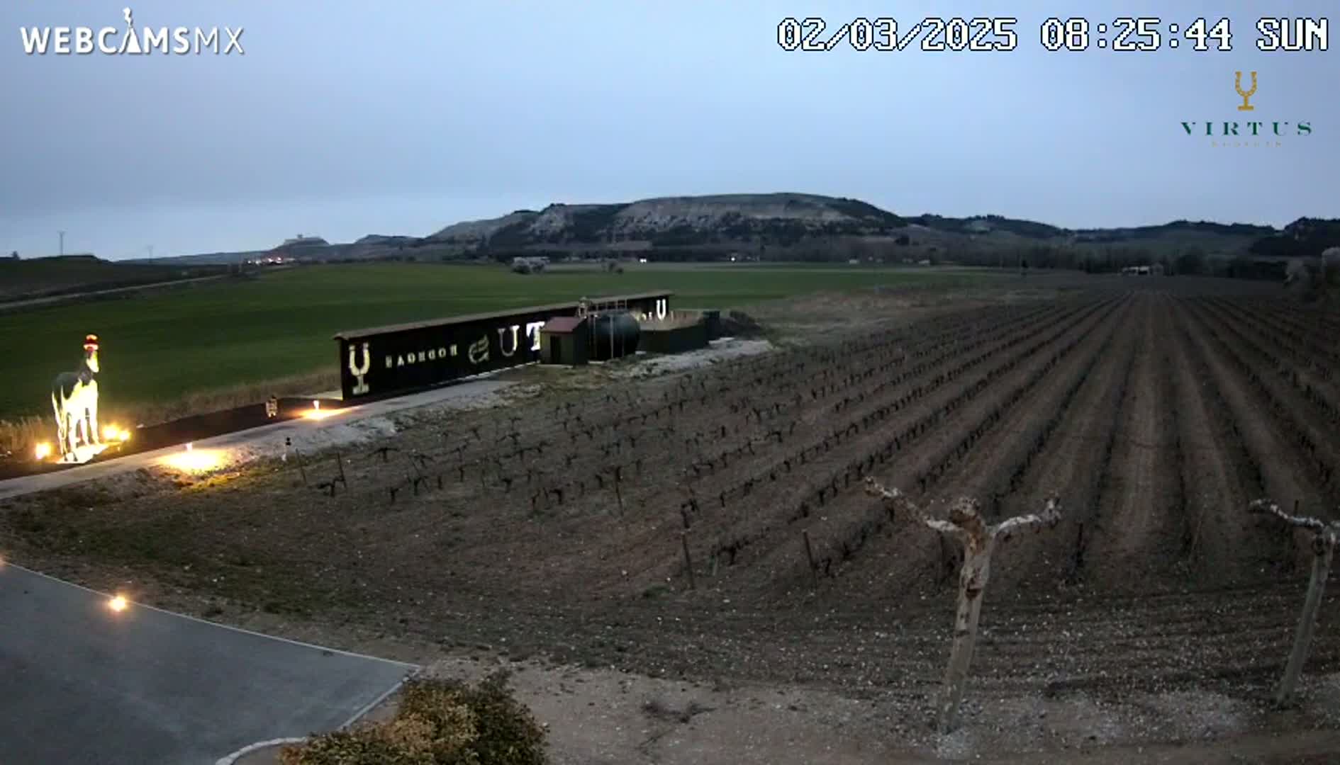 A vineyard at dusk under a twilight sky, with a statue and lights near a sign in the foreground.