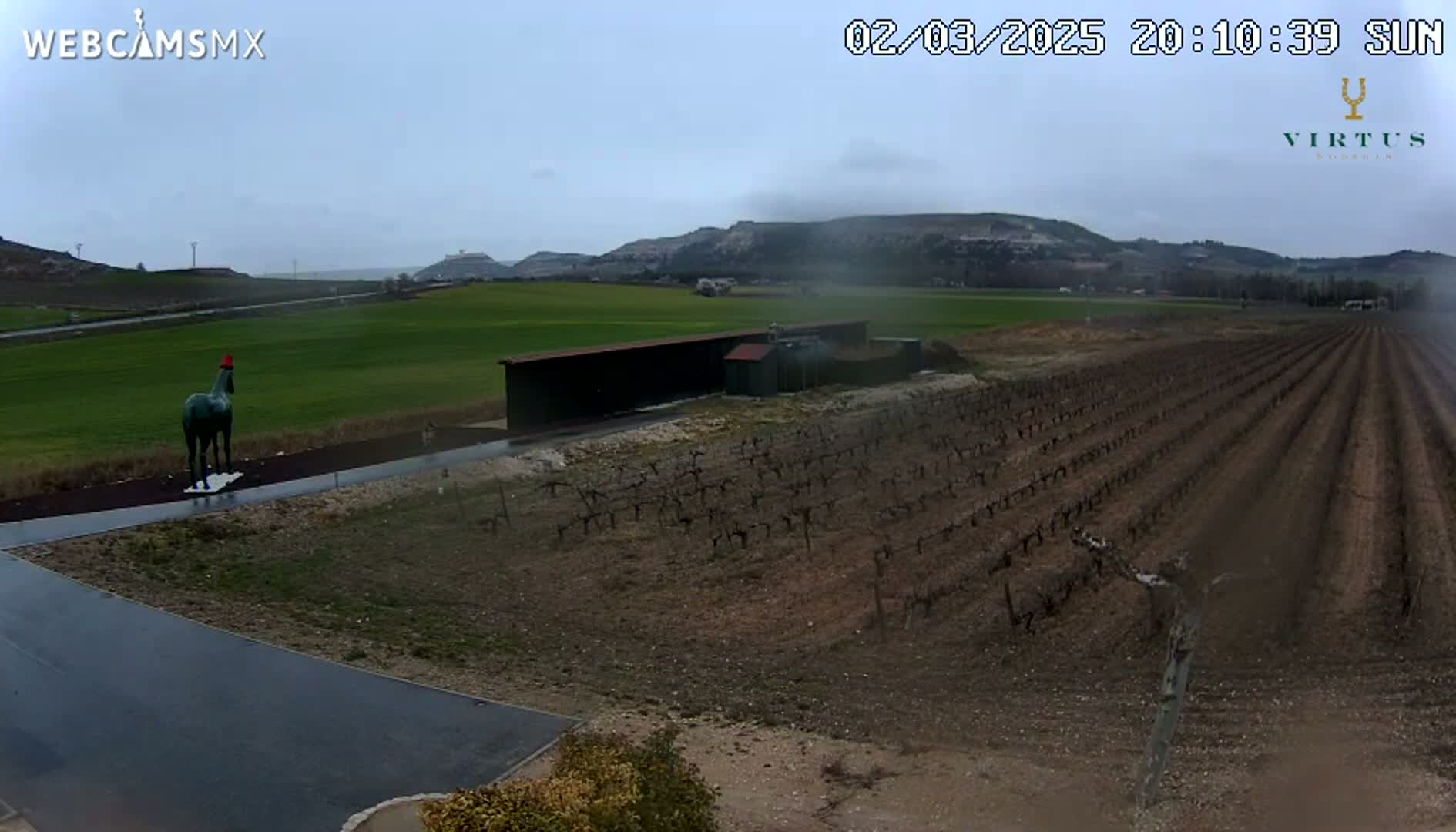 A green horse statue stands in a vineyard under an overcast sky, with a long building and distant hills visible in the background.