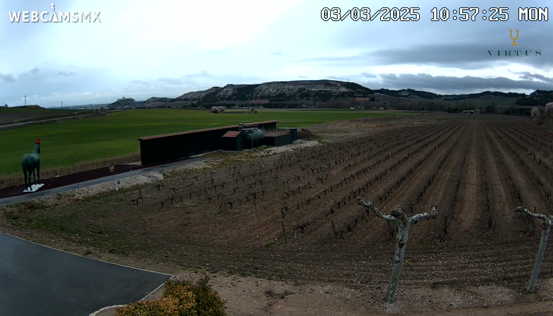 A green statue of a horse stands near a long, dark building in a vineyard under a cloudy sky.