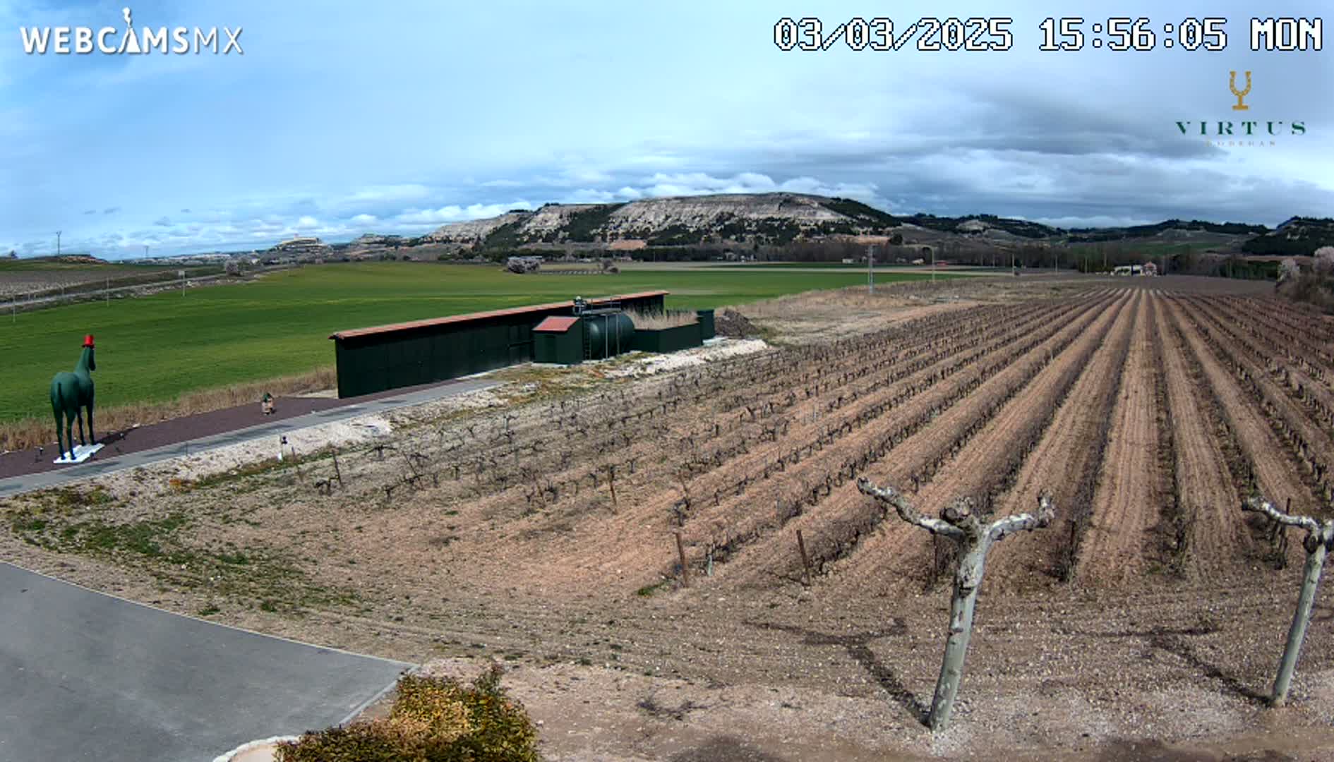 A green statue of a horse stands near a dark-green building, which is adjacent to a large vineyard under a partly cloudy sky.