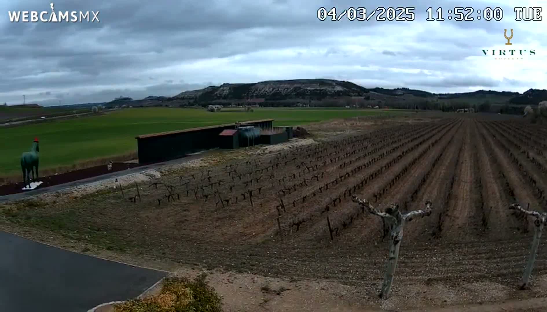 A statue of a horse stands near a vineyard on a cloudy day, with a distant view of rolling hills.