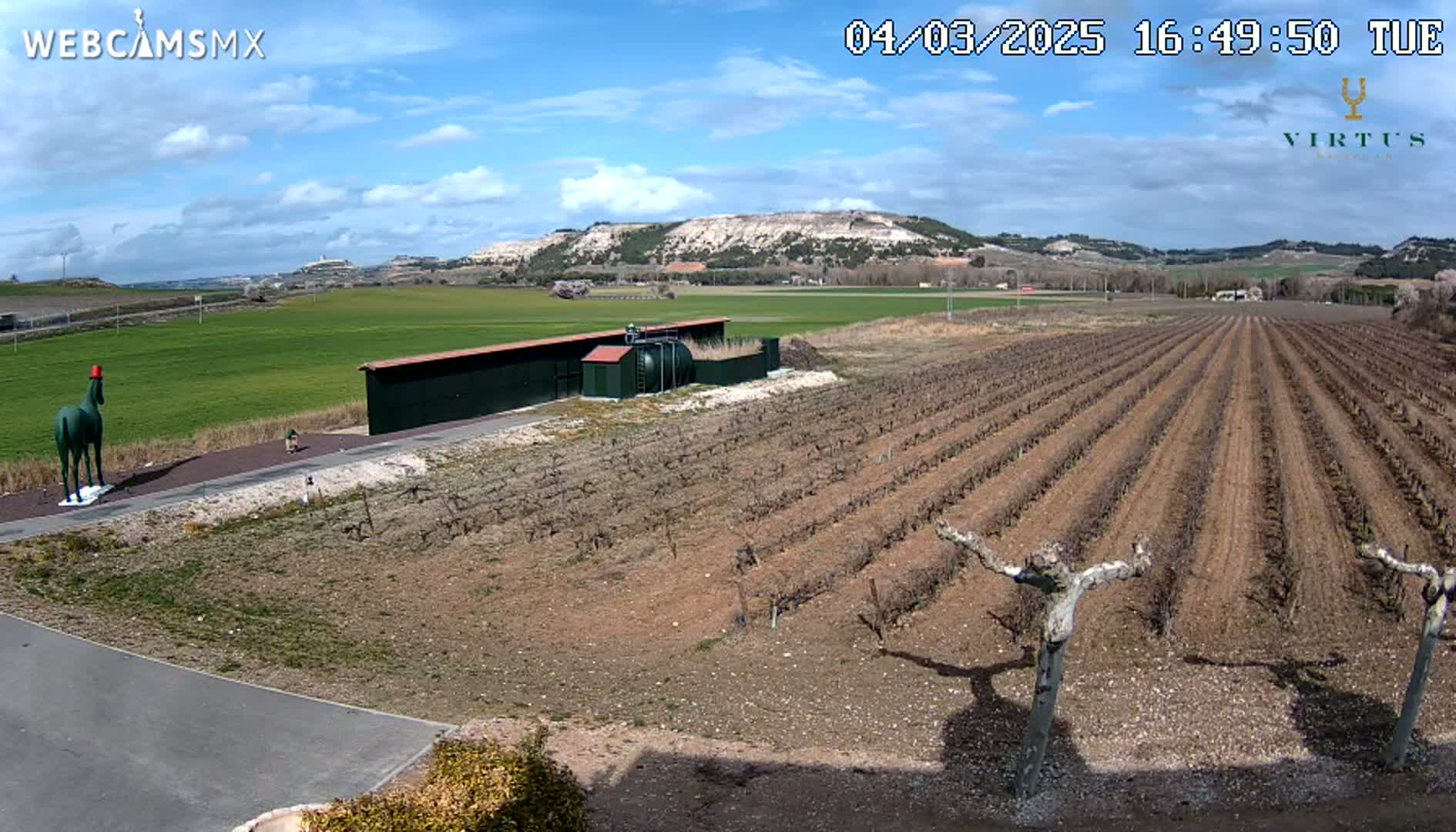 A green horse statue stands near a building in a vineyard under a mostly sunny sky.