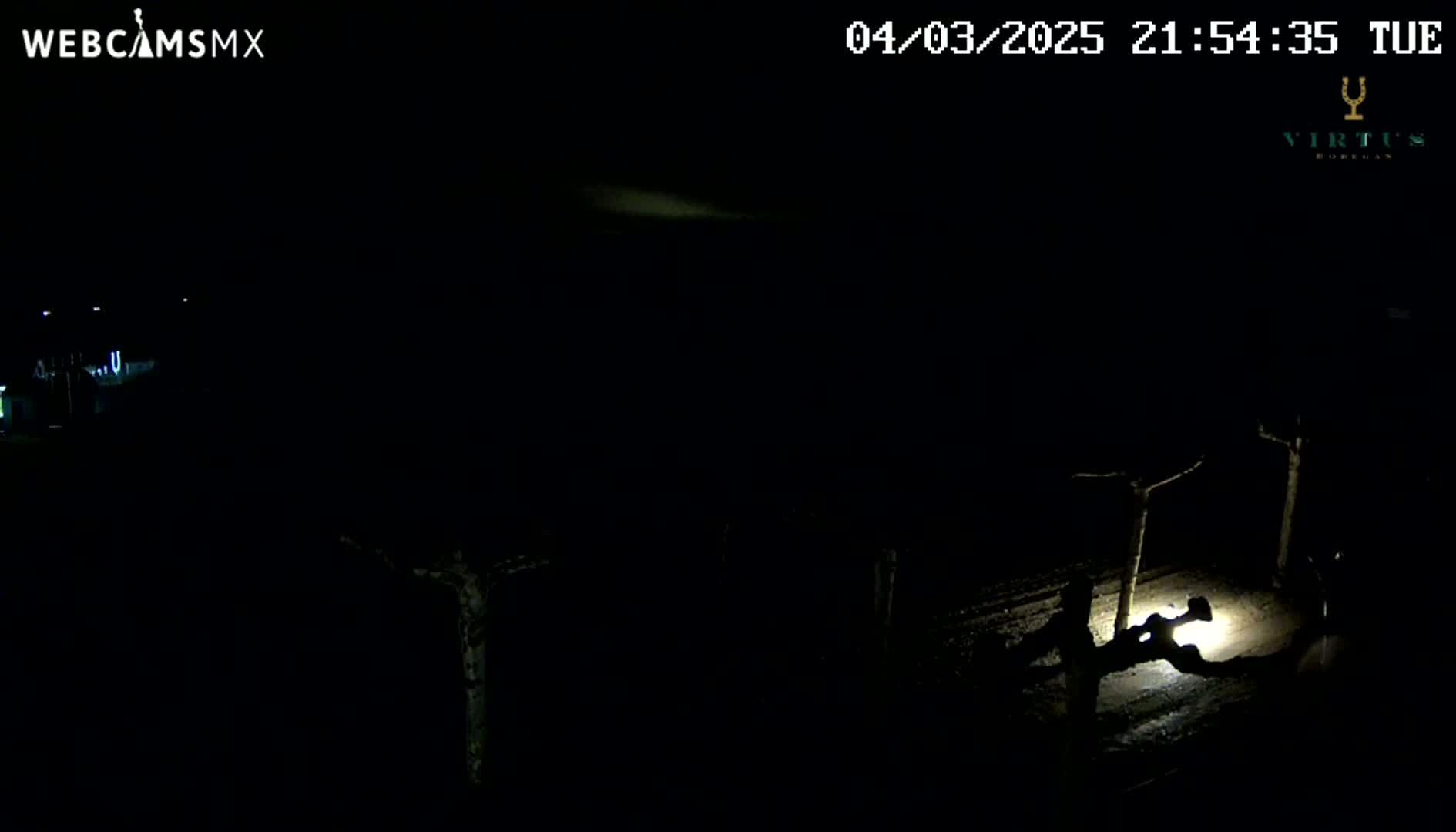 A nighttime, outdoor scene shows two shadowy figures illuminated by a light source near bare trees under a dark sky.