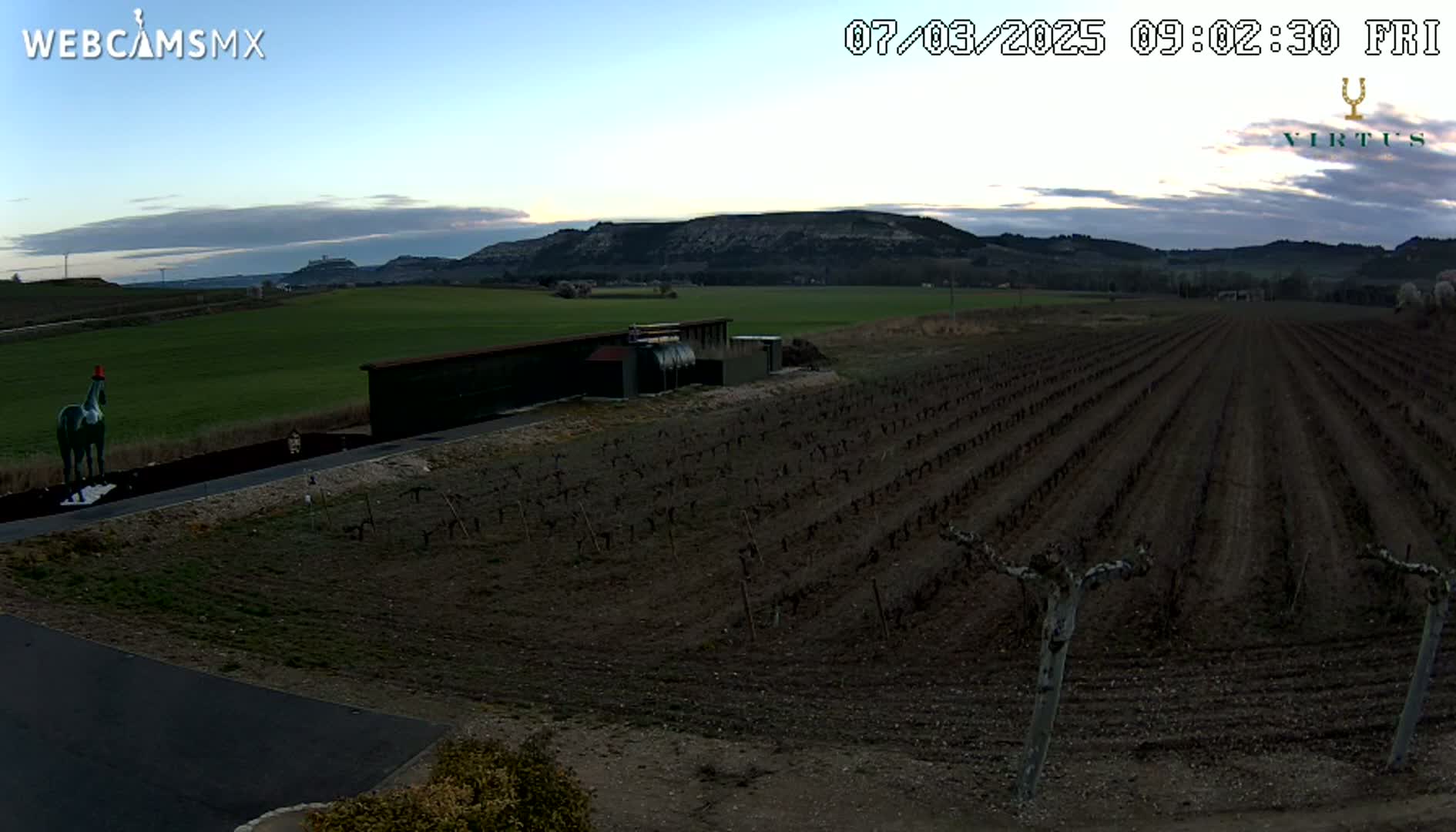 A green horse statue stands near a vineyard under a twilight sky with a few clouds.