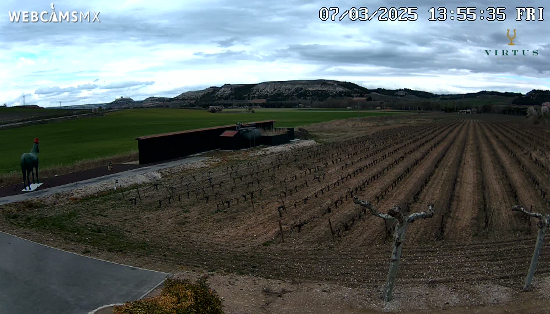 A green horse statue stands near a vineyard under a cloudy sky, with a distant view of rolling hills.