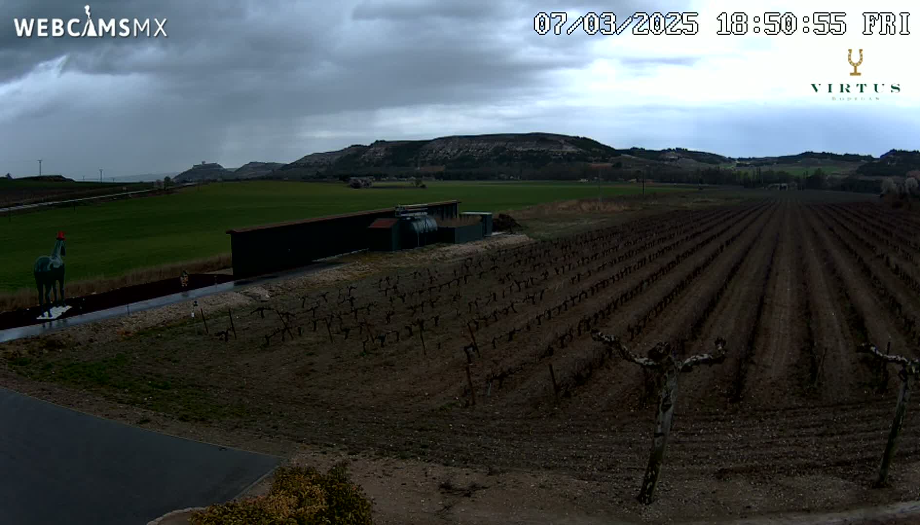 A vineyard under a cloudy sky stretches out towards distant hills, with a statue of a horse visible in the foreground.