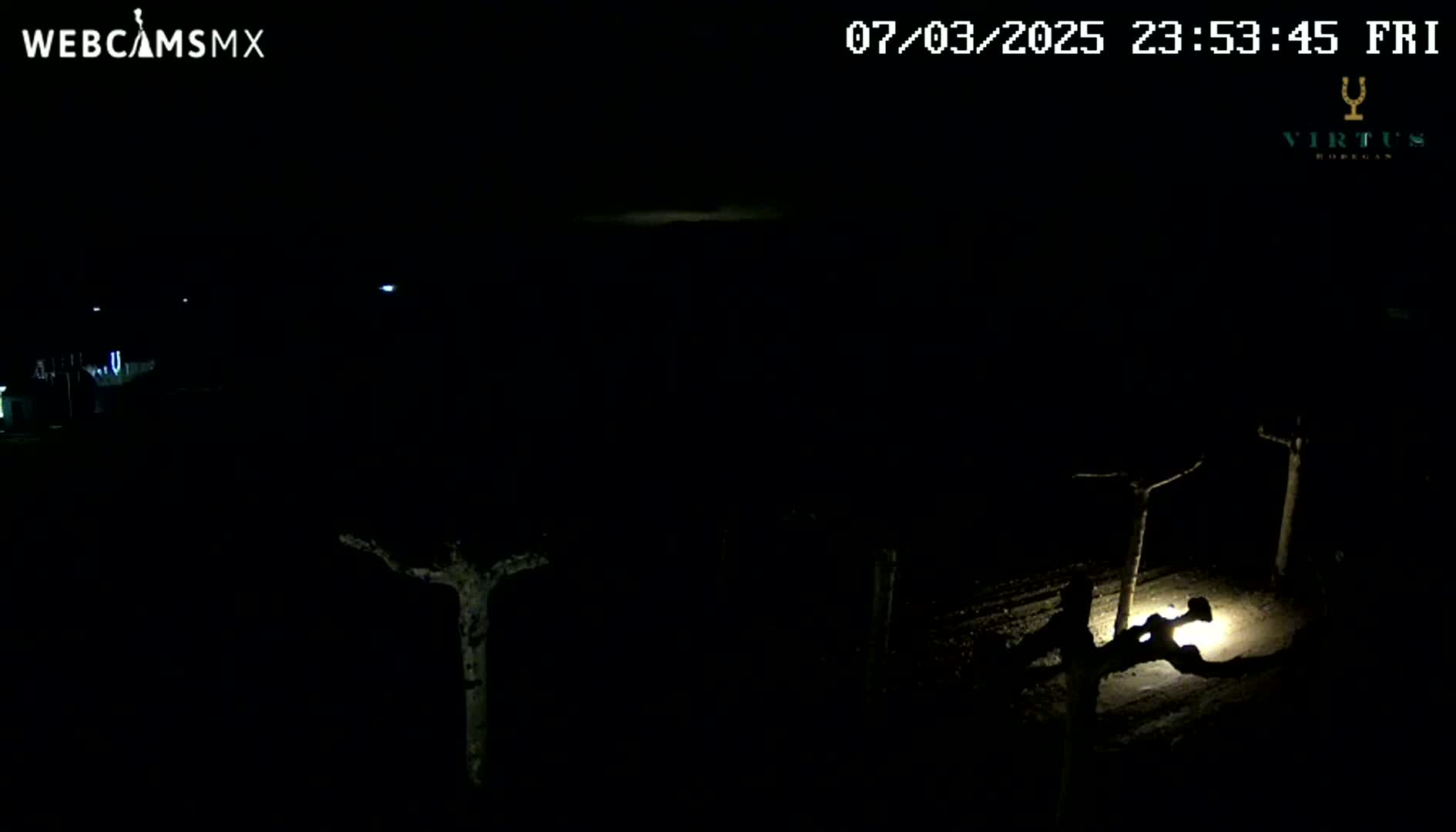 A nighttime, dimly lit outdoor scene shows bare, silhouetted trees under a dark sky.