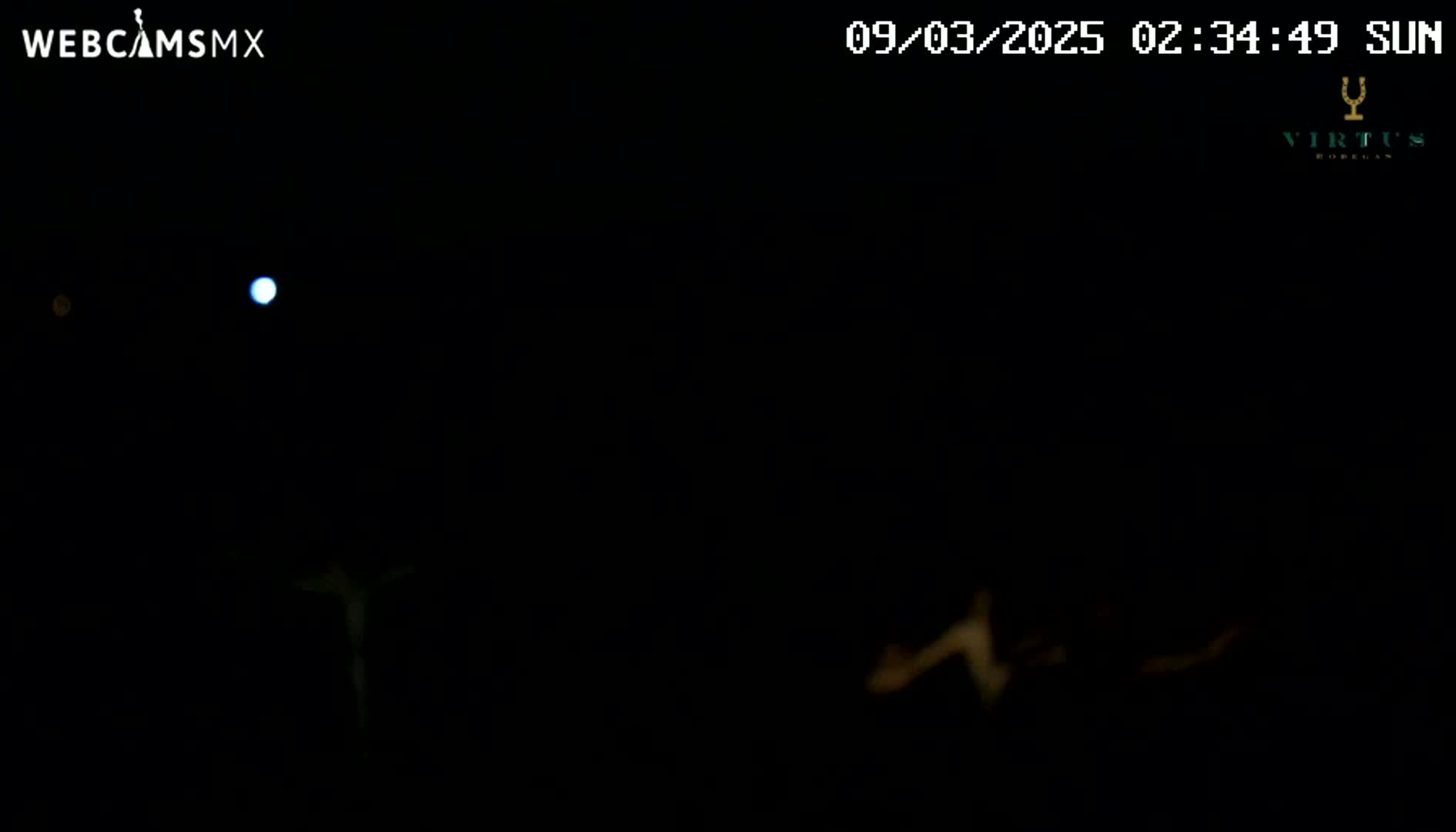 A dark, nighttime scene shows a bright light in the sky, possibly a moon or bright star, with faint, blurry shapes in the lower portion of the frame.