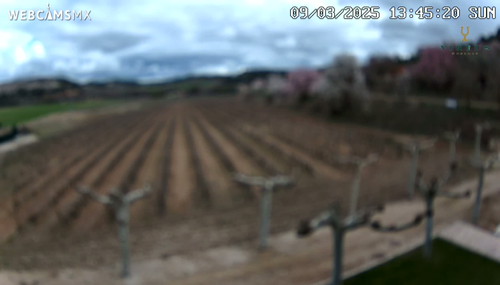 A long, plowed field stretches out under a partly cloudy sky, with budding trees visible in the background.