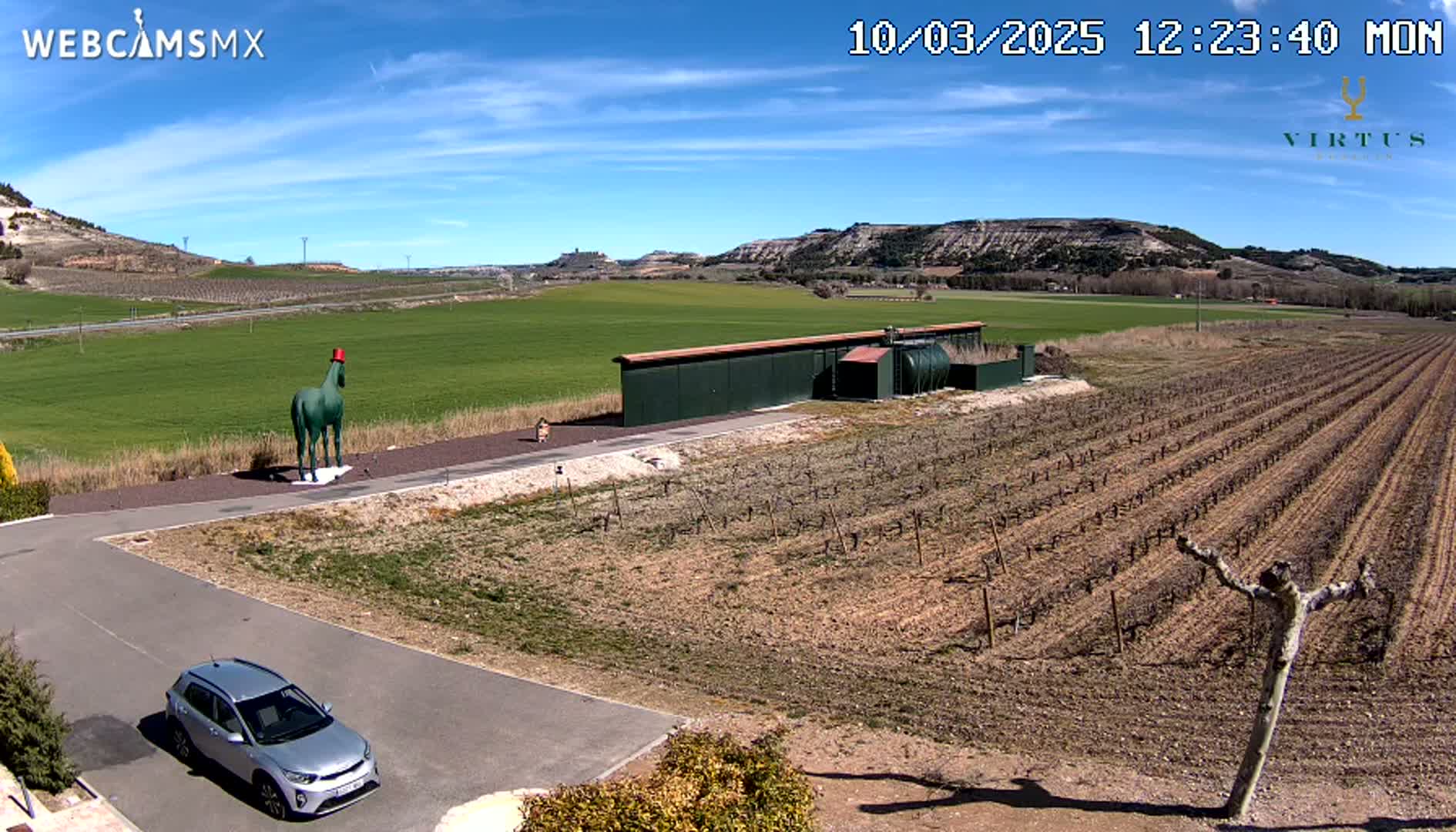 A green horse statue wearing a red hat stands in a paved area next to a long, dark-green building, overlooking a vineyard under a clear, sunny sky.