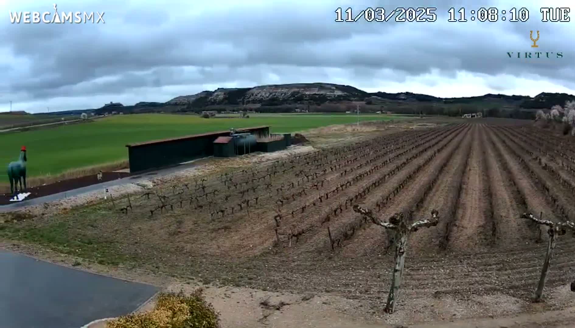 A statue of a horse stands near a vineyard under a cloudy sky.