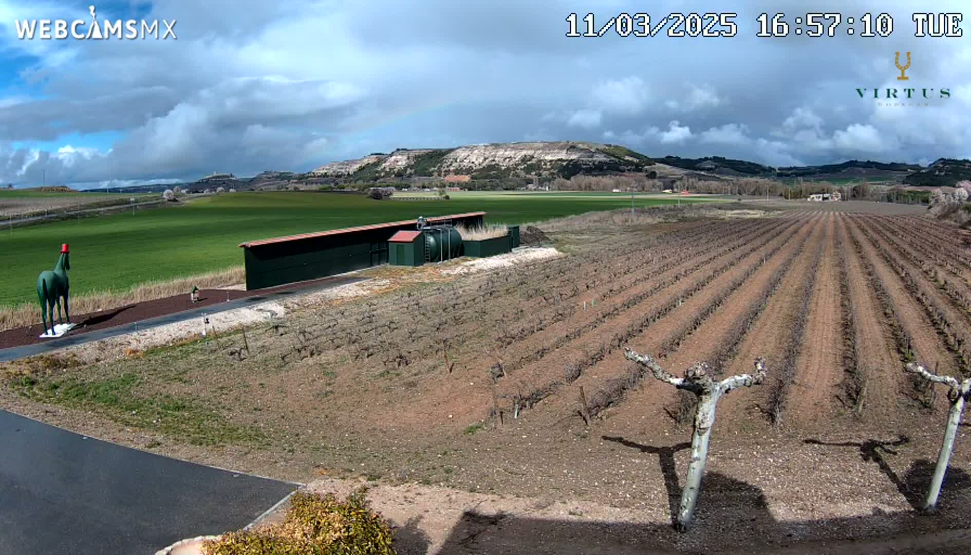 A partly cloudy day reveals a vineyard with rows of dormant vines, a green horse statue, and a long building in the mid-ground, all set against a backdrop of rolling hills.