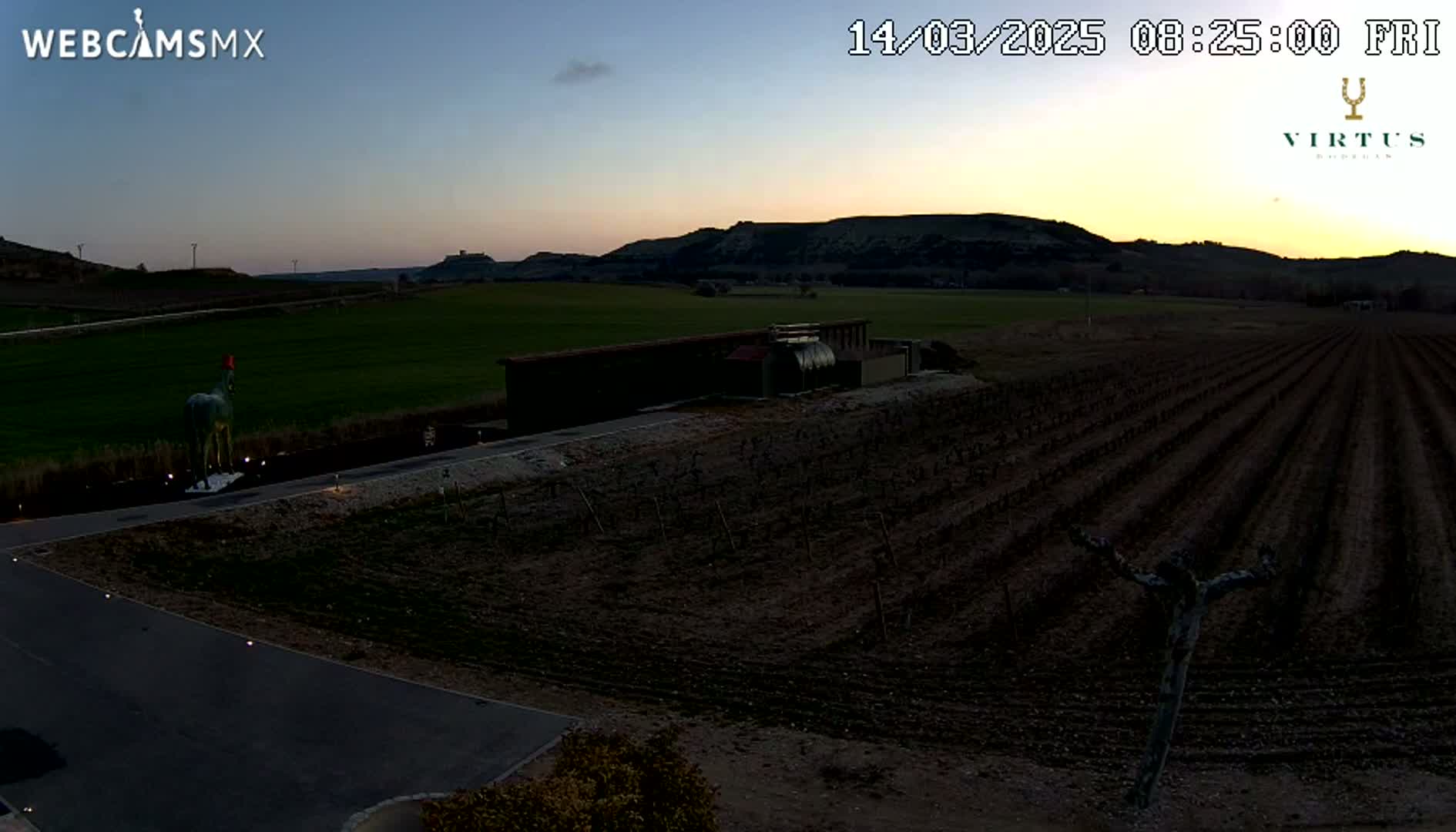 A vineyard at twilight under a clear sky, with a statue of a horse and a long building visible in the foreground.