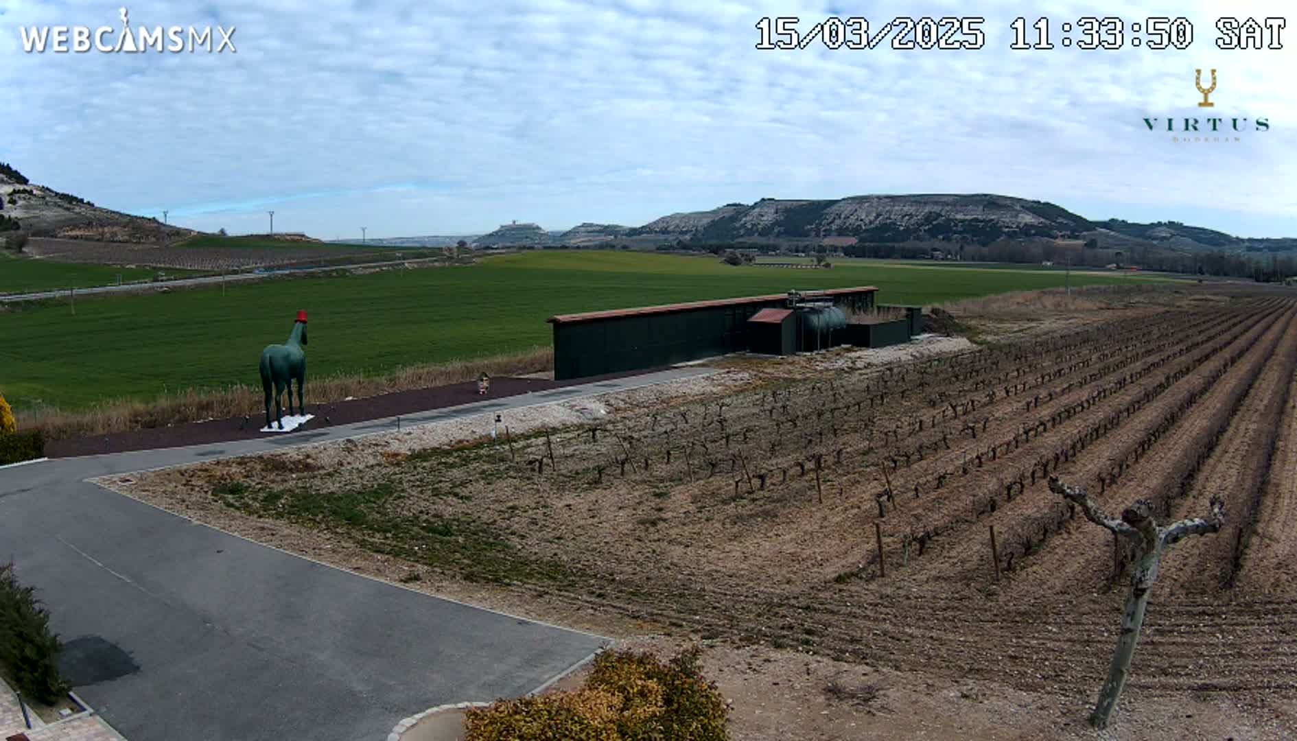 A green horse statue wearing a red hat stands near a vineyard and a long building under a partly cloudy sky.