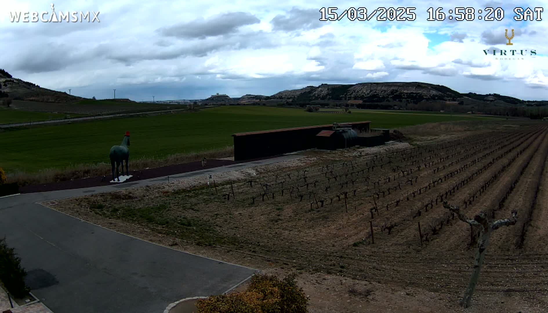 A green statue of a horse wearing a red hat stands in a vineyard under a partly cloudy sky.