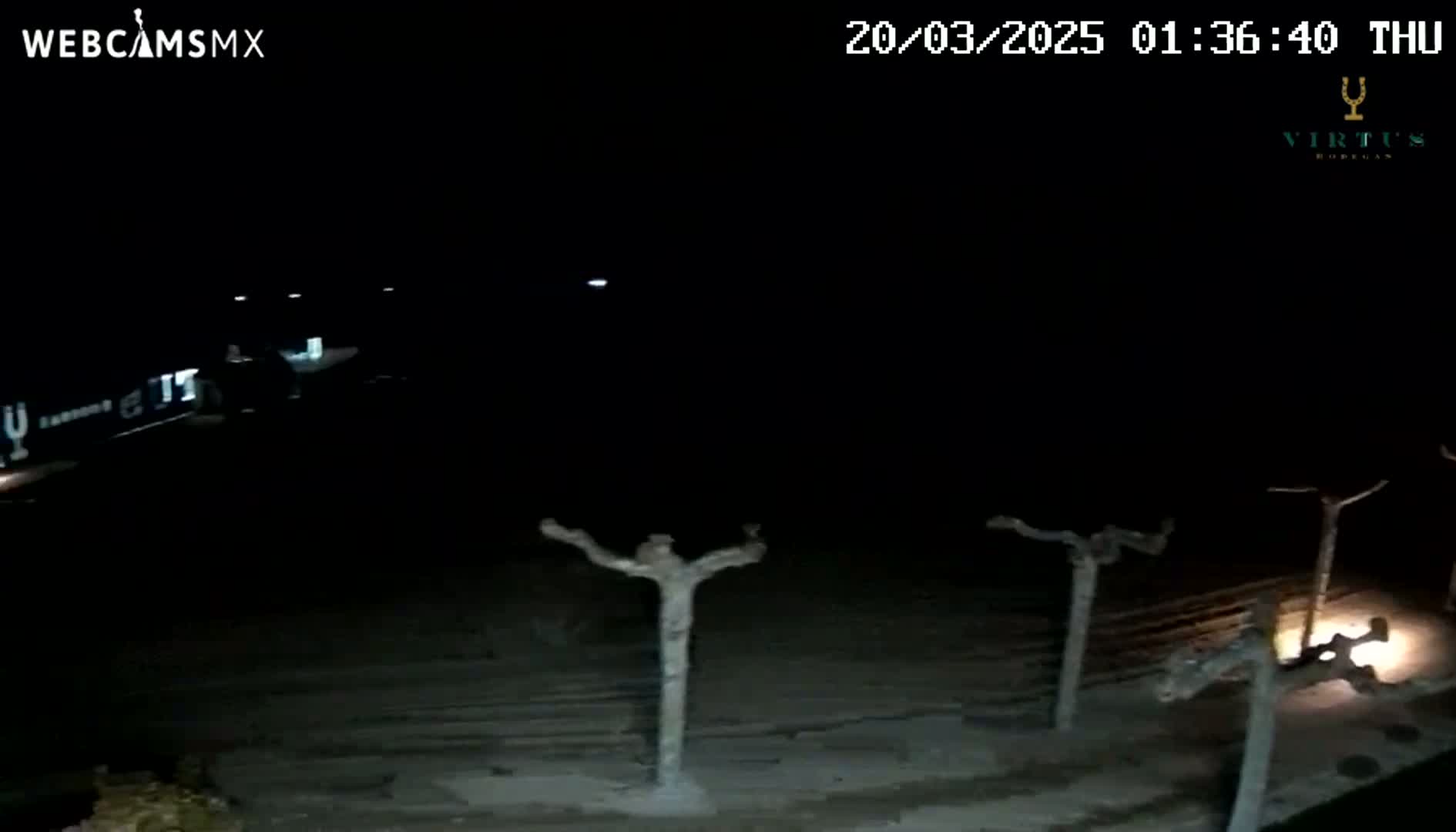 A dark, nighttime scene shows a vehicle parked near several pruned, bare trees under a clear sky.