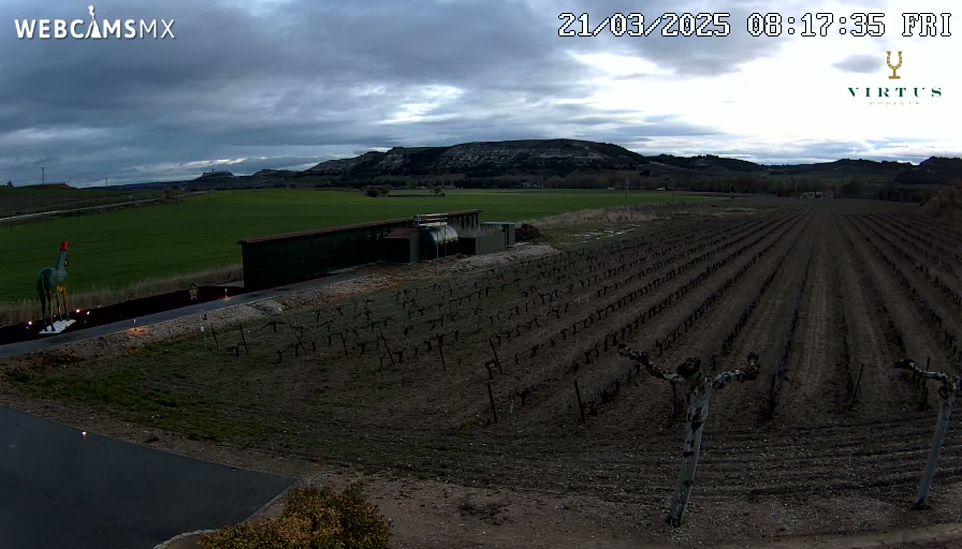 A vineyard under a cloudy sky, with a large structure and a statue of a horse in the foreground.