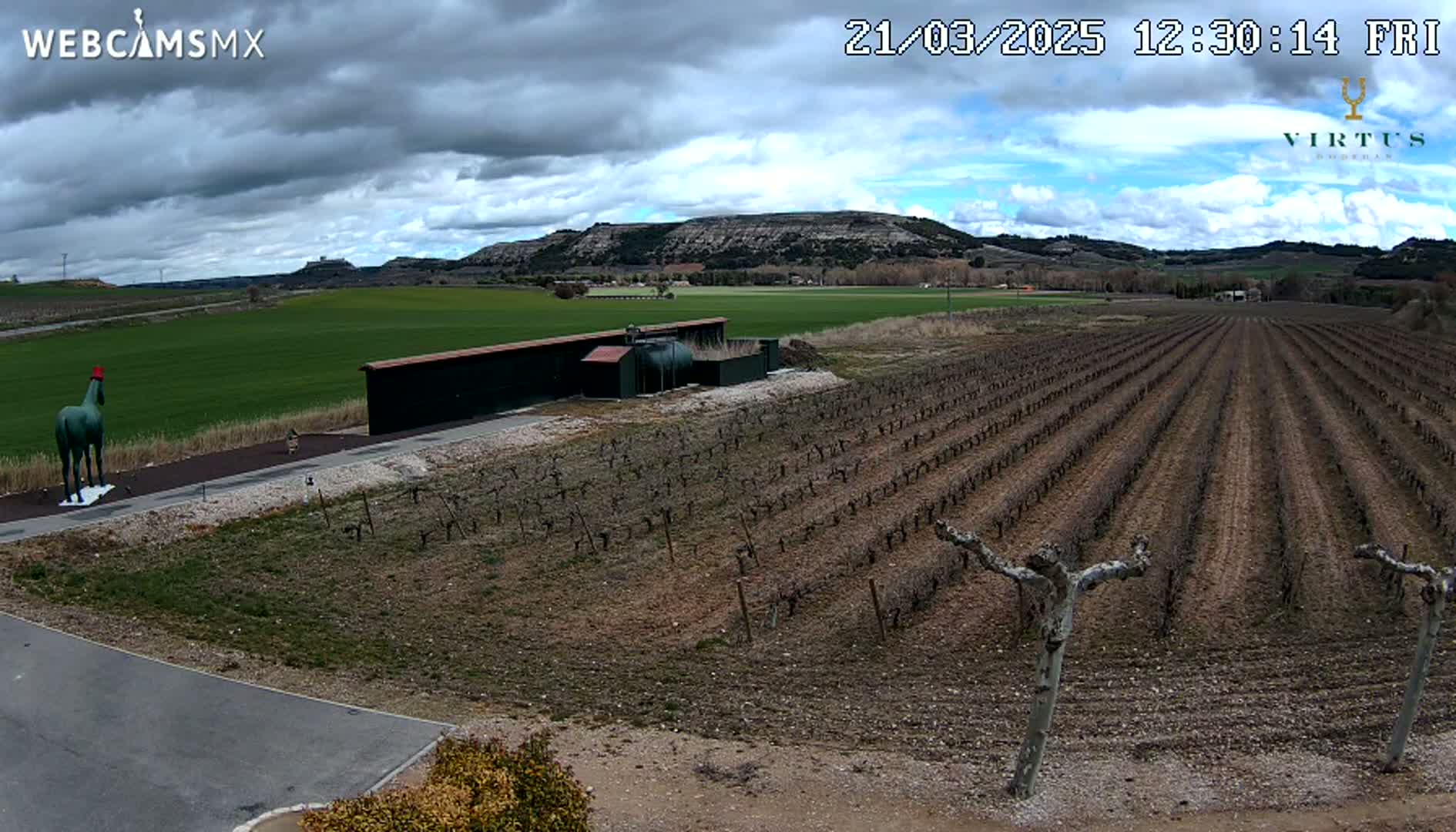 A green horse statue stands near a vineyard under a partly cloudy sky, with a building and distant hills visible in the background.