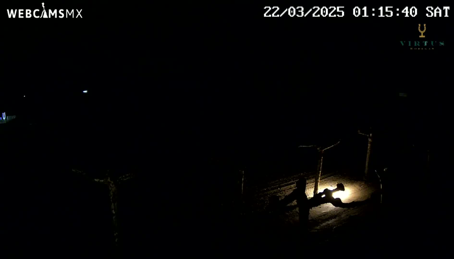 A nighttime, dark outdoor scene shows several indistinct figures near a dimly lit area, possibly a path, with bare, dark branches visible in the foreground.