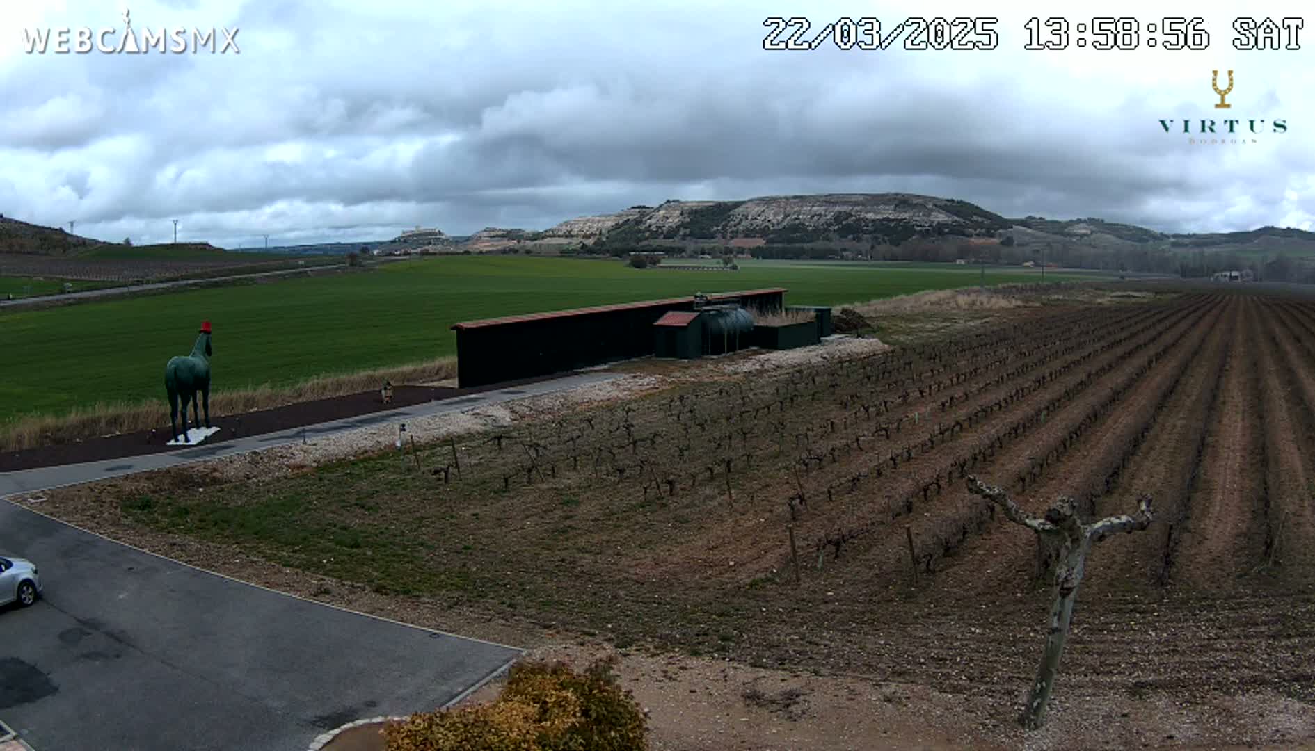 A green horse statue with a red hat stands in a grassy area next to a vineyard under a cloudy sky.