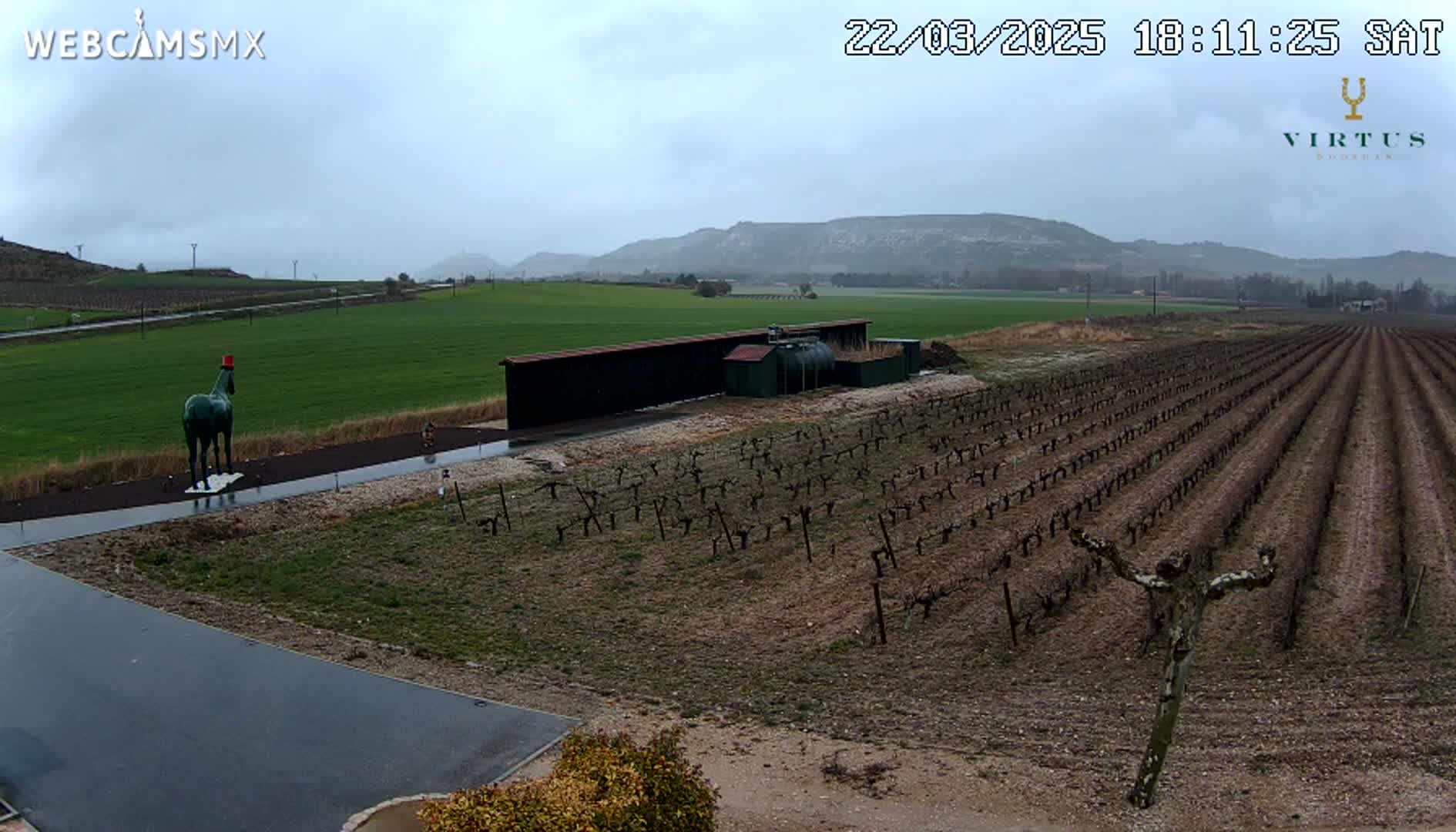 A green horse statue stands near a long, dark structure in a vineyard under an overcast sky.