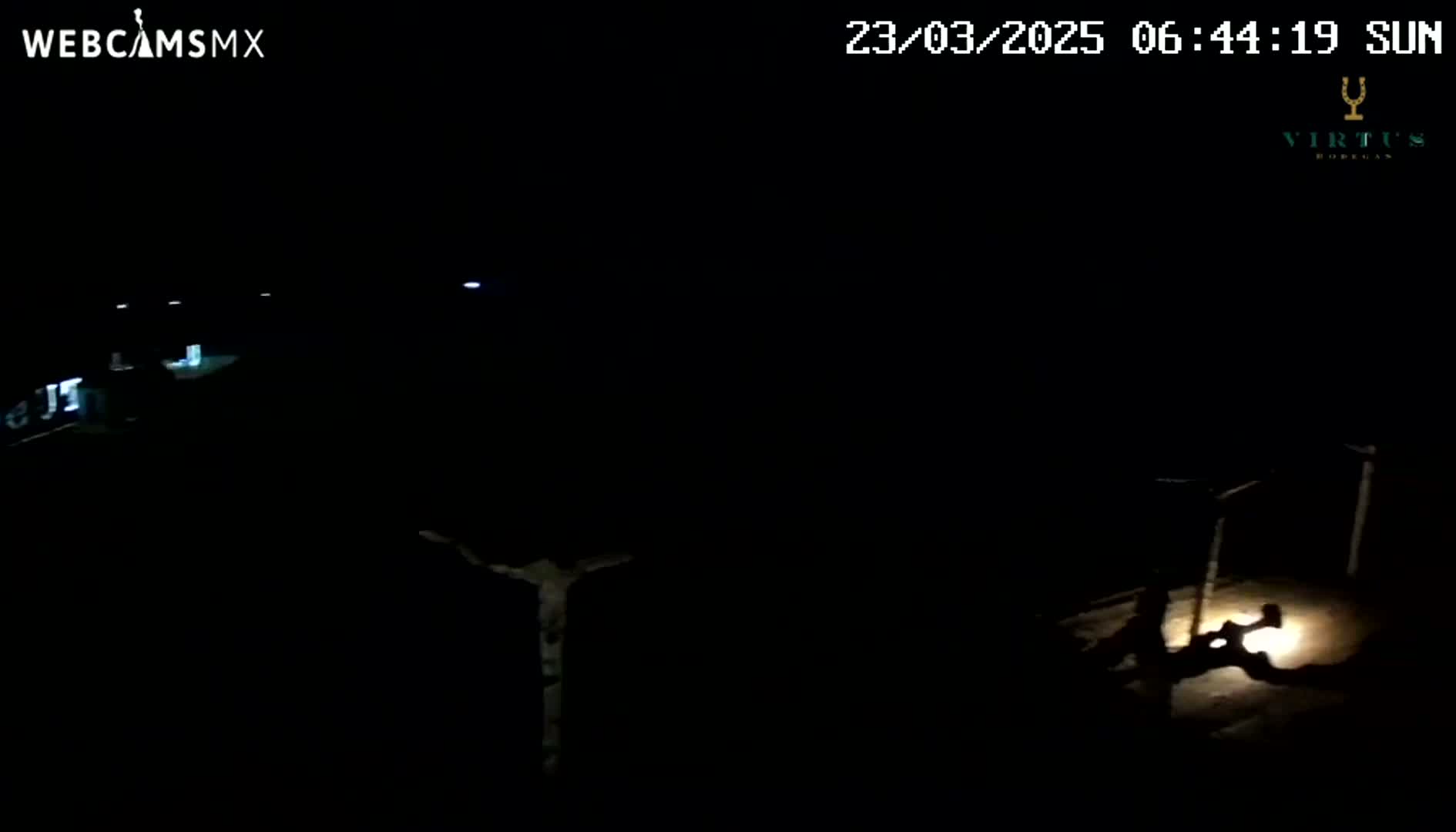 A nighttime, outdoor scene shows dimly lit structures and a figure illuminated by a light source on the ground.