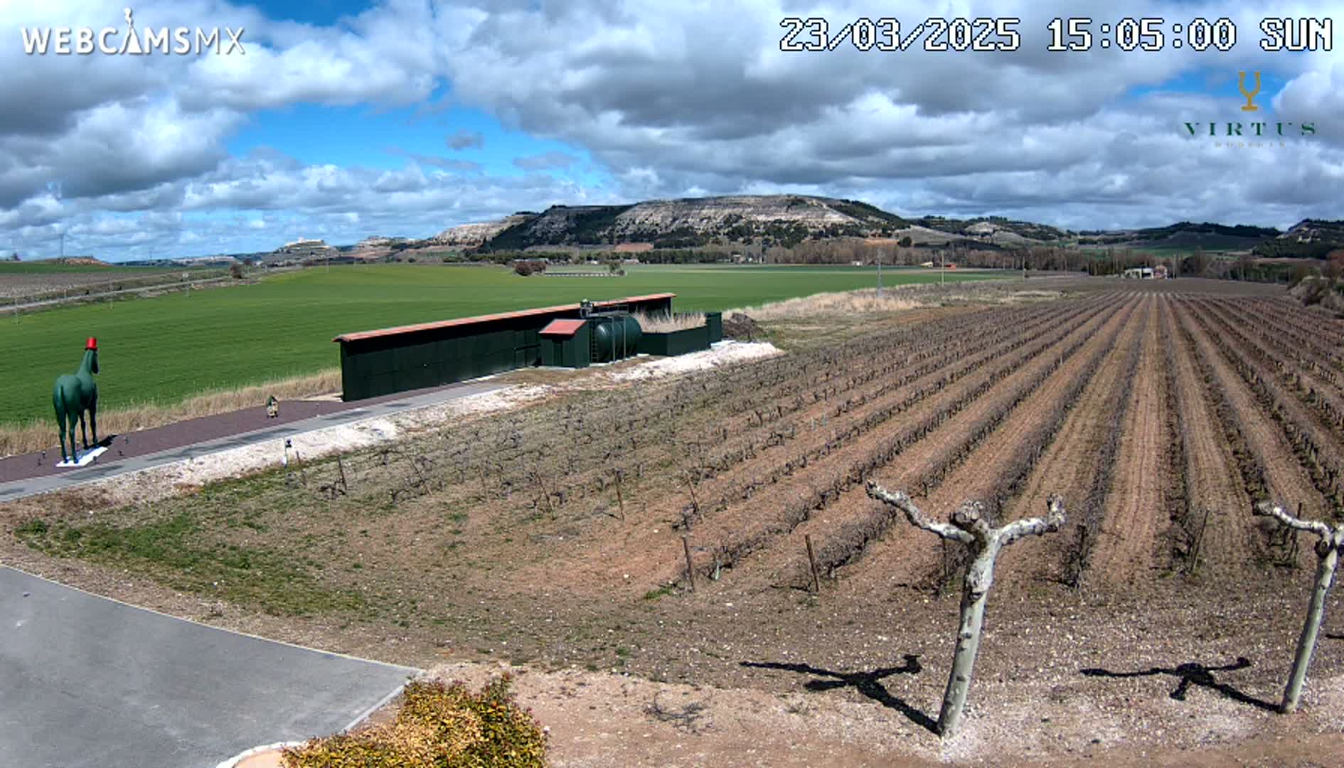 A green horse statue stands near a building in a vineyard under a partly cloudy blue sky.