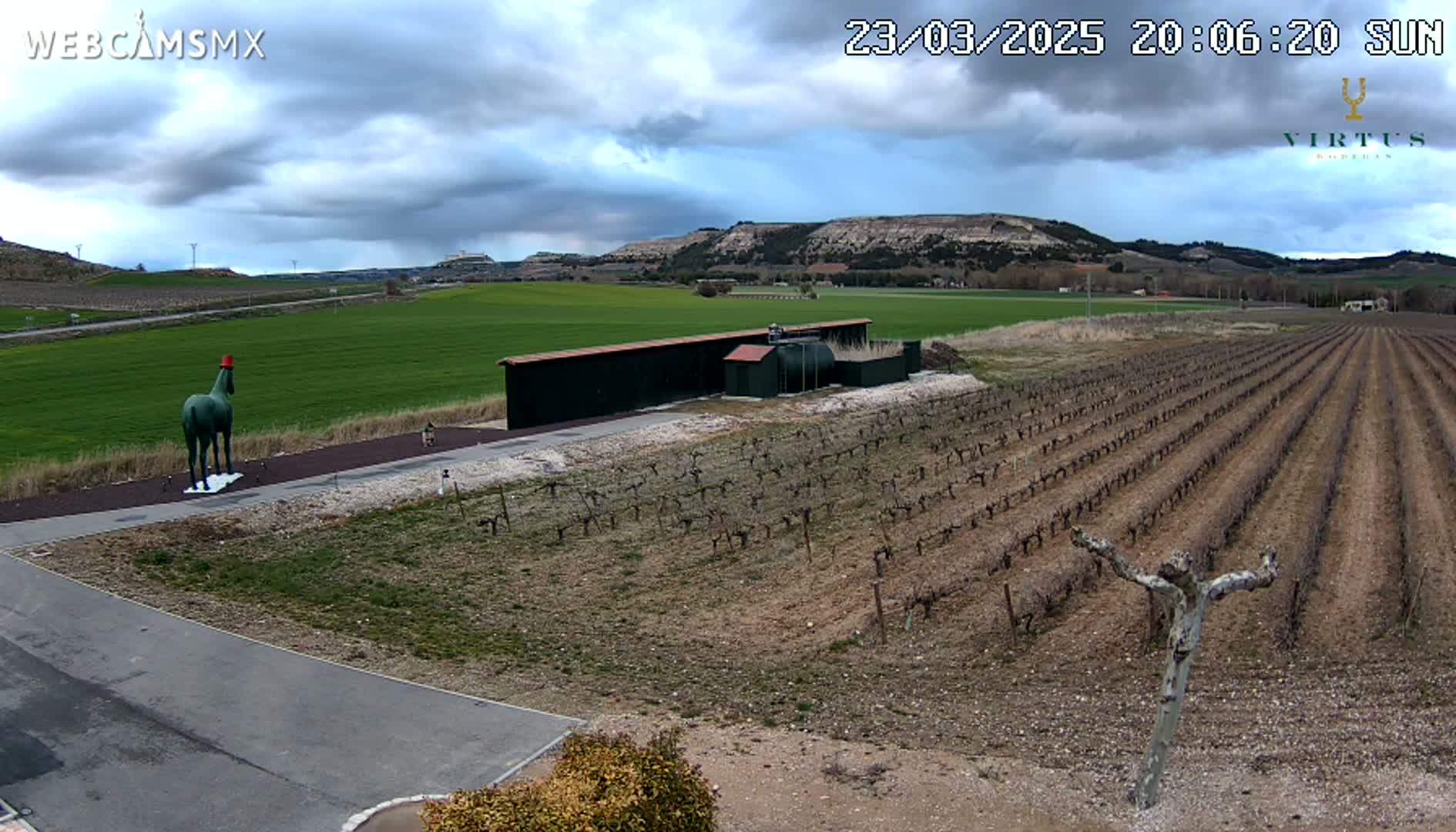 A green horse statue wearing a red hat stands in a paved area next to a vineyard and a long dark building under a cloudy sky.