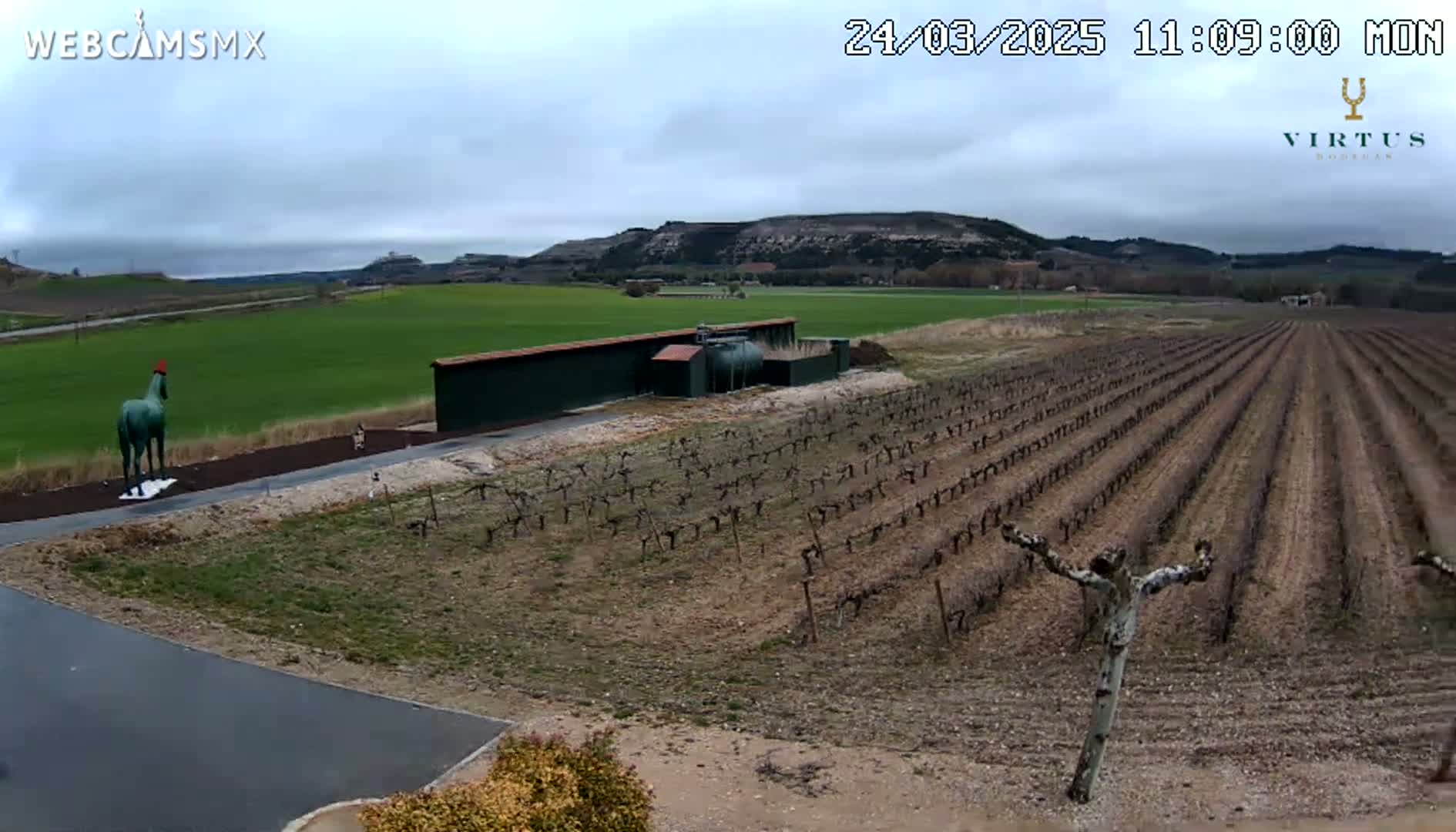 A green horse statue stands near a vineyard under a cloudy sky.