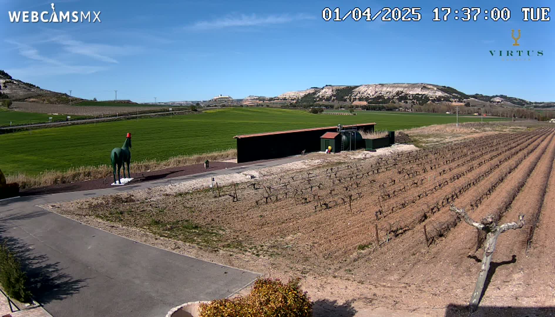 A green horse statue wearing a red hat stands in a paved area next to a vineyard under a clear blue sky.