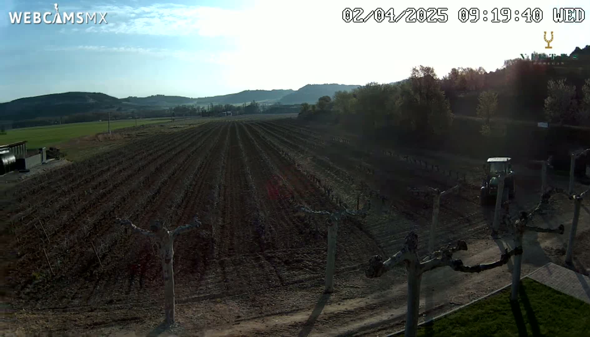 A tractor is working a vineyard under a partly sunny sky.