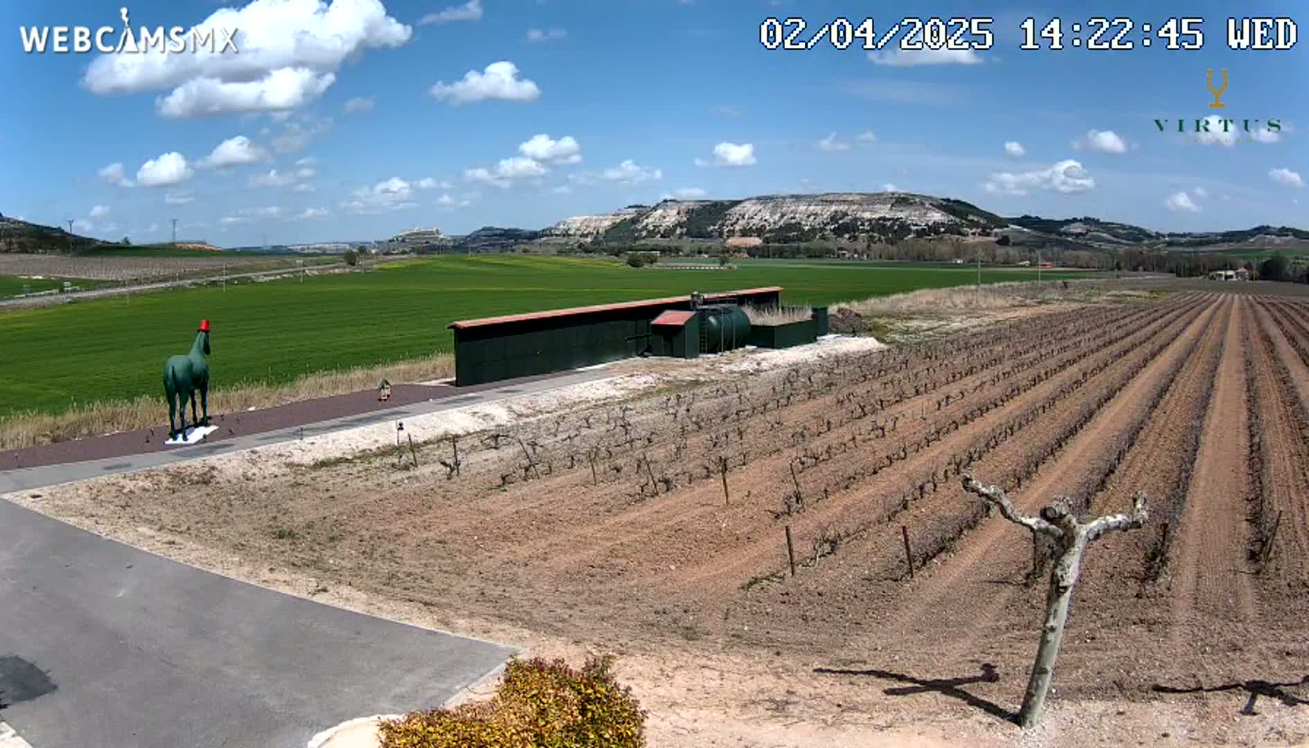 A green horse statue wearing a red hat stands near a vineyard under a partly cloudy blue sky.