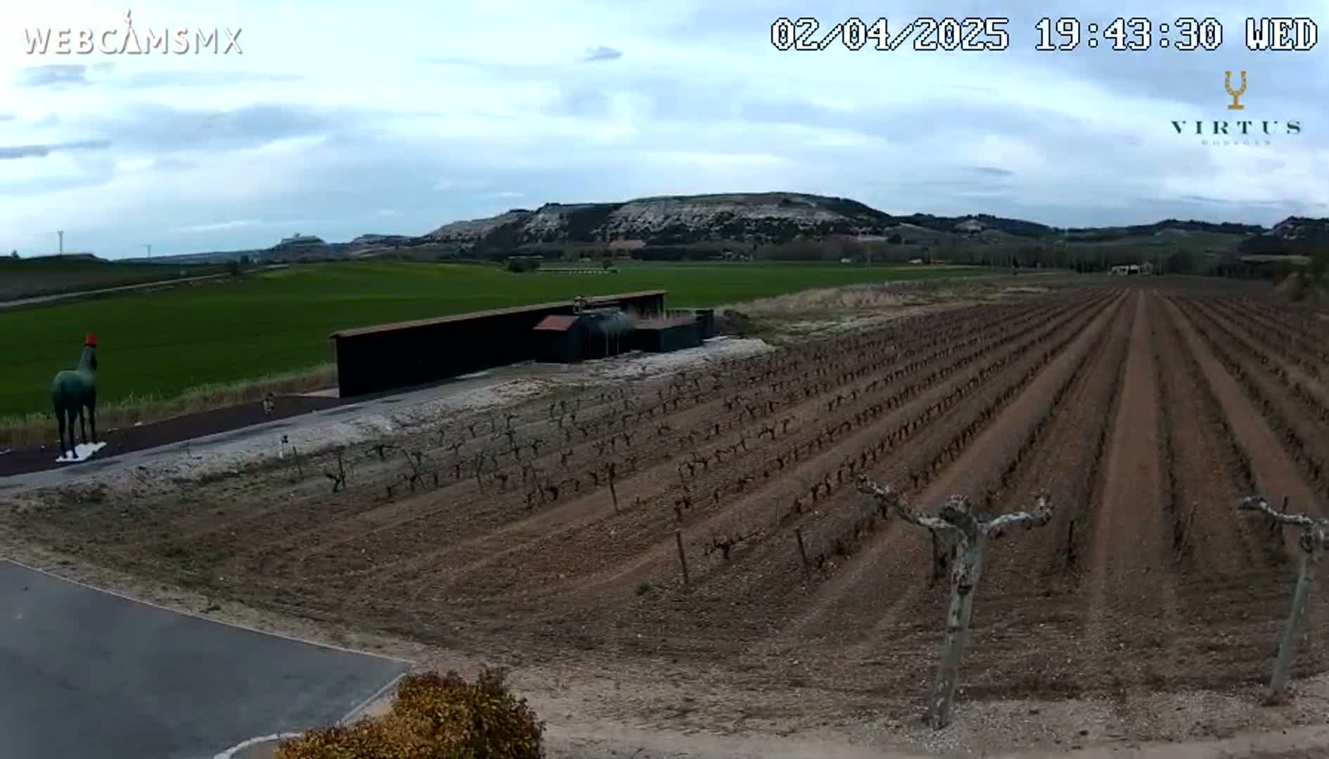 A vineyard with a statue of a horse is visible under a partly cloudy sky.