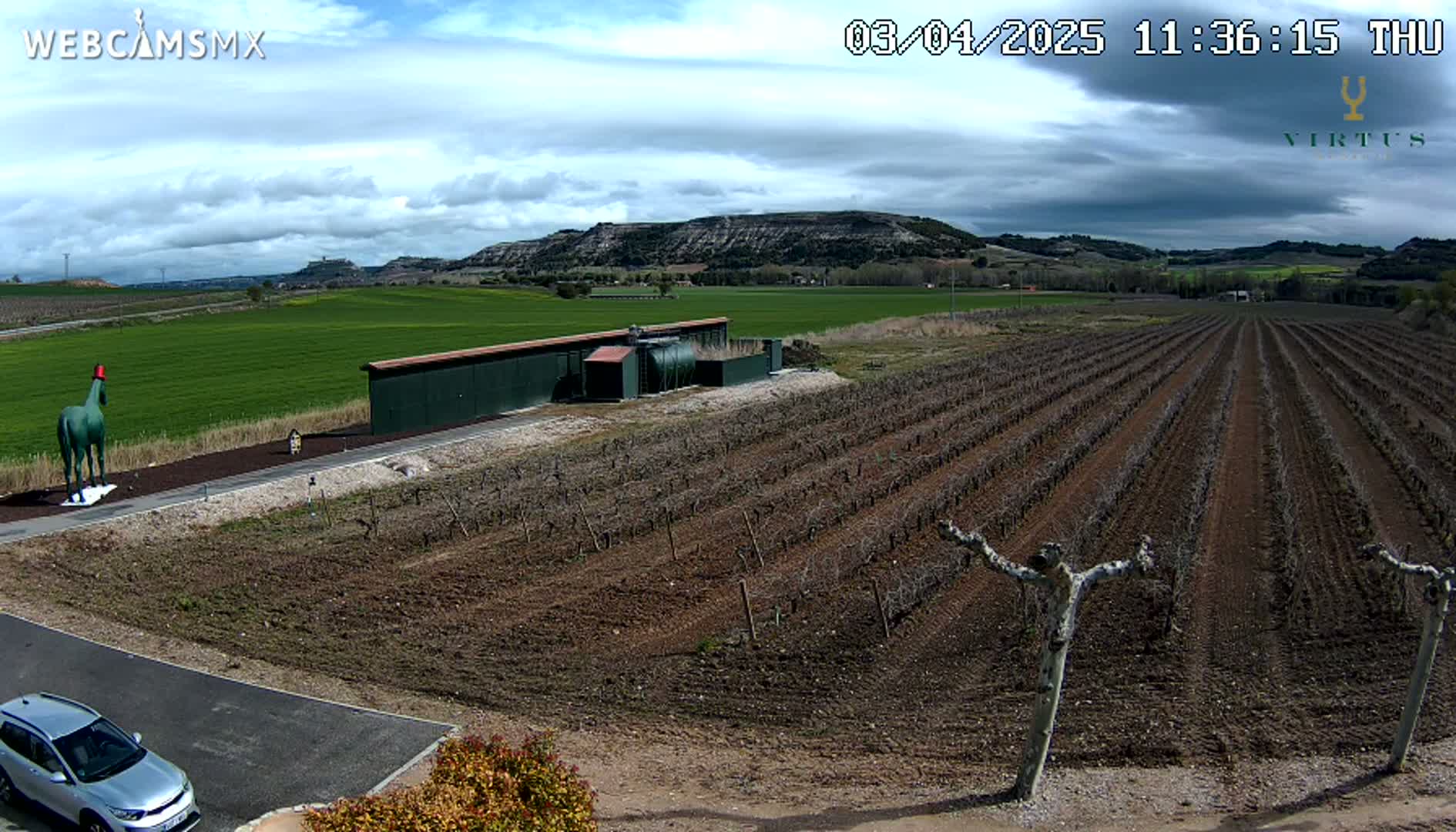 A green horse statue stands near a building in a vineyard under a partly cloudy sky.