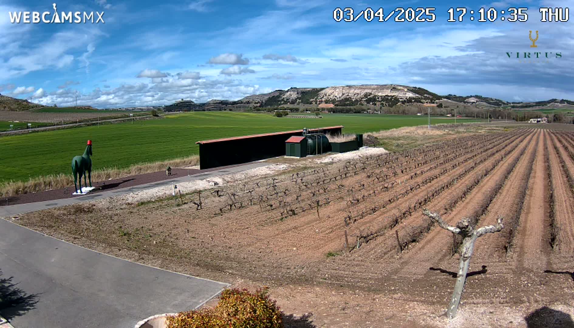 A green horse statue wearing a red hat stands in front of a vineyard under a mostly sunny sky.