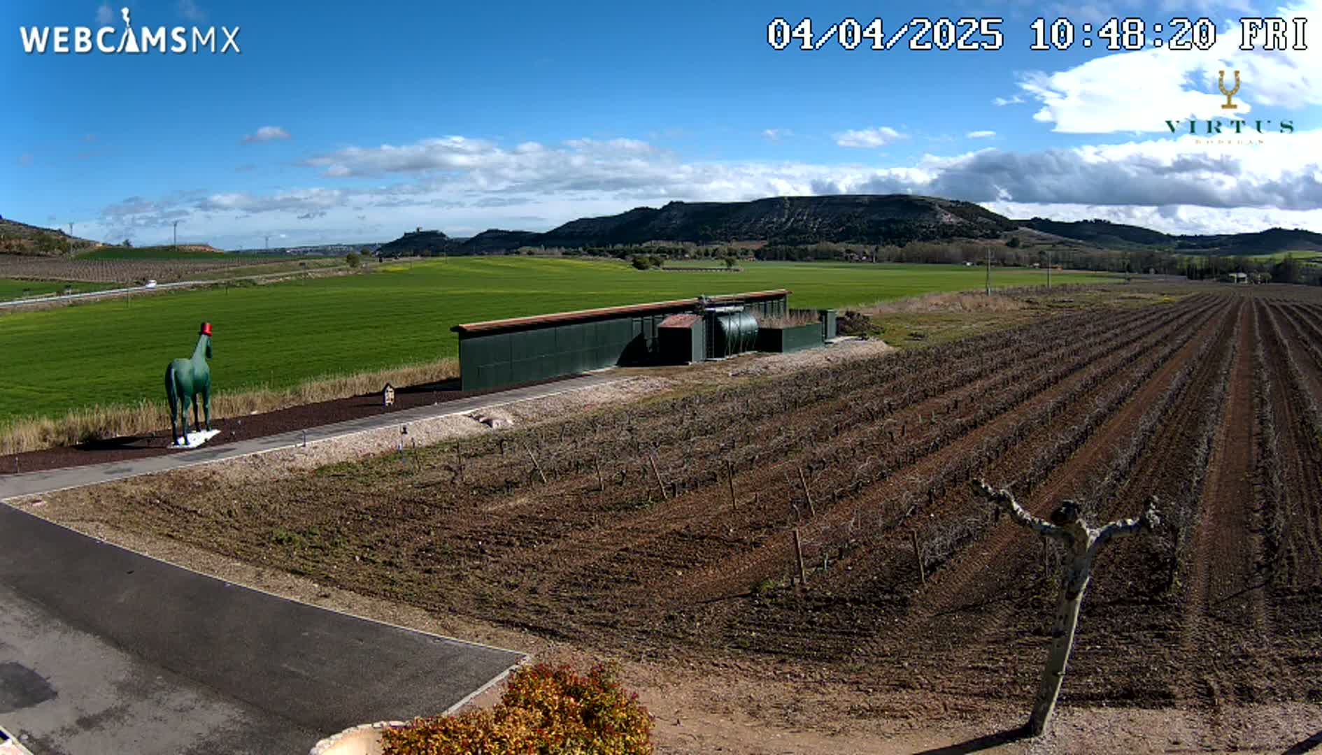 A green horse statue wearing a red hat stands near a long, dark green building in a vineyard under a mostly sunny sky with some scattered clouds.