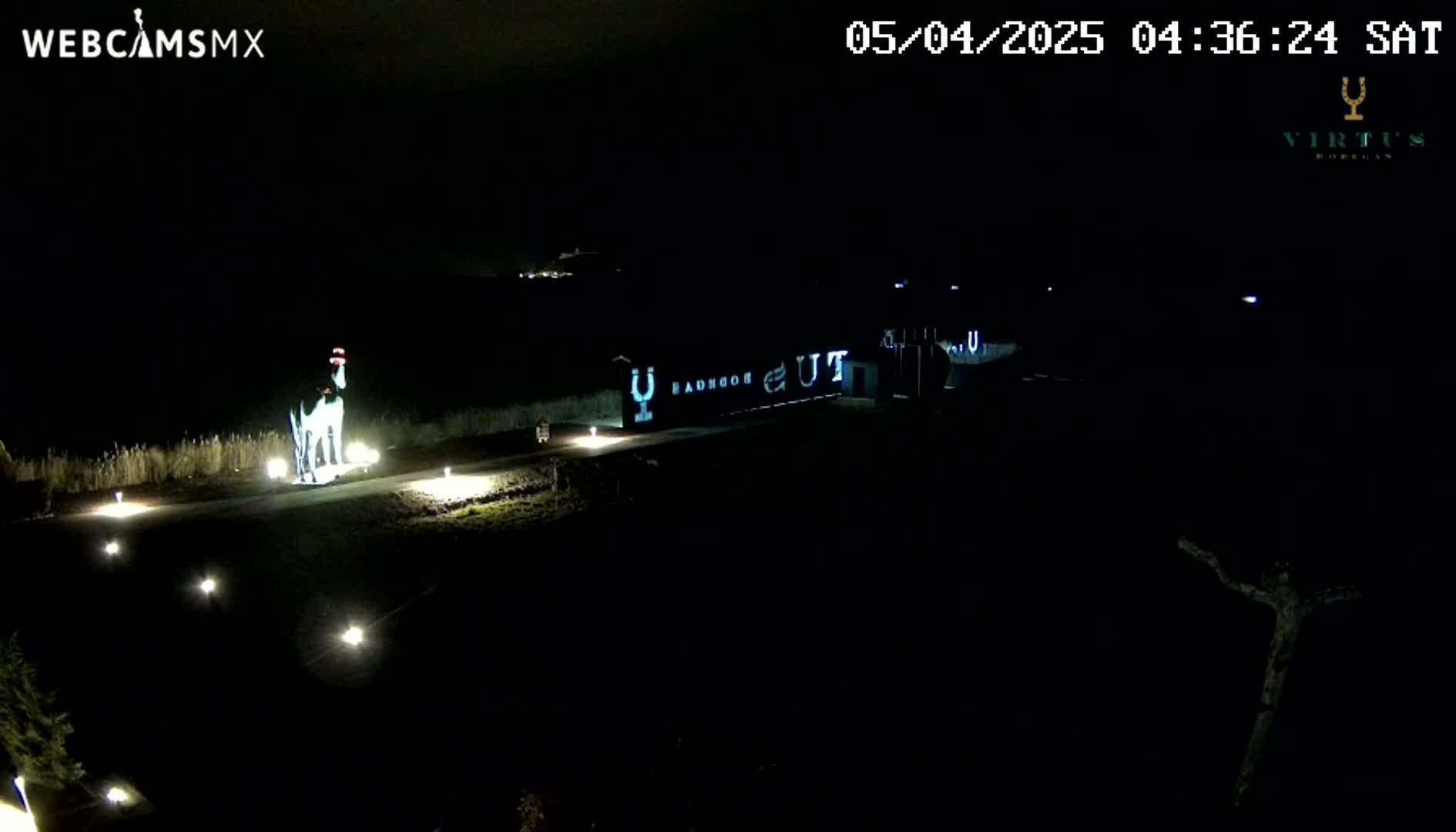 A nighttime outdoor scene shows a statue of a dog wearing a hat illuminated by spotlights, in front of a building with projected lettering.