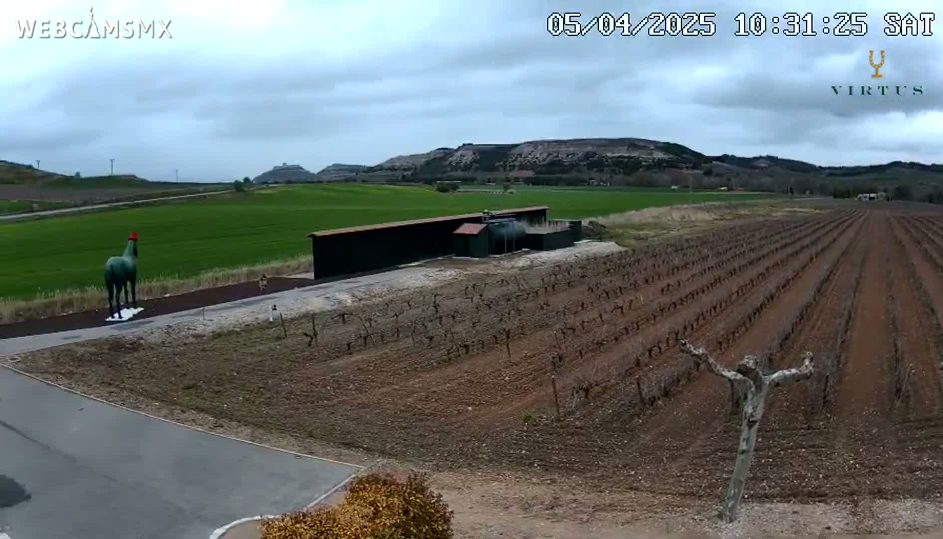 A green statue of a horse stands in a vineyard under a cloudy sky, with a long, dark structure behind it.