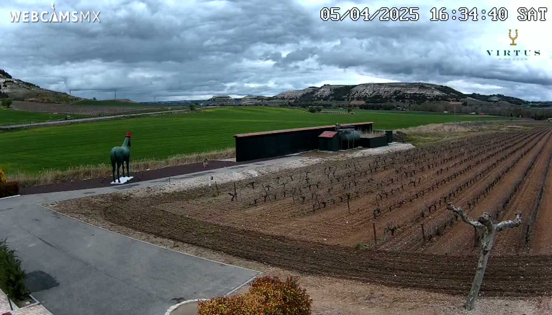 A green statue of a horse wearing a red hat stands in front of a vineyard under a cloudy sky.