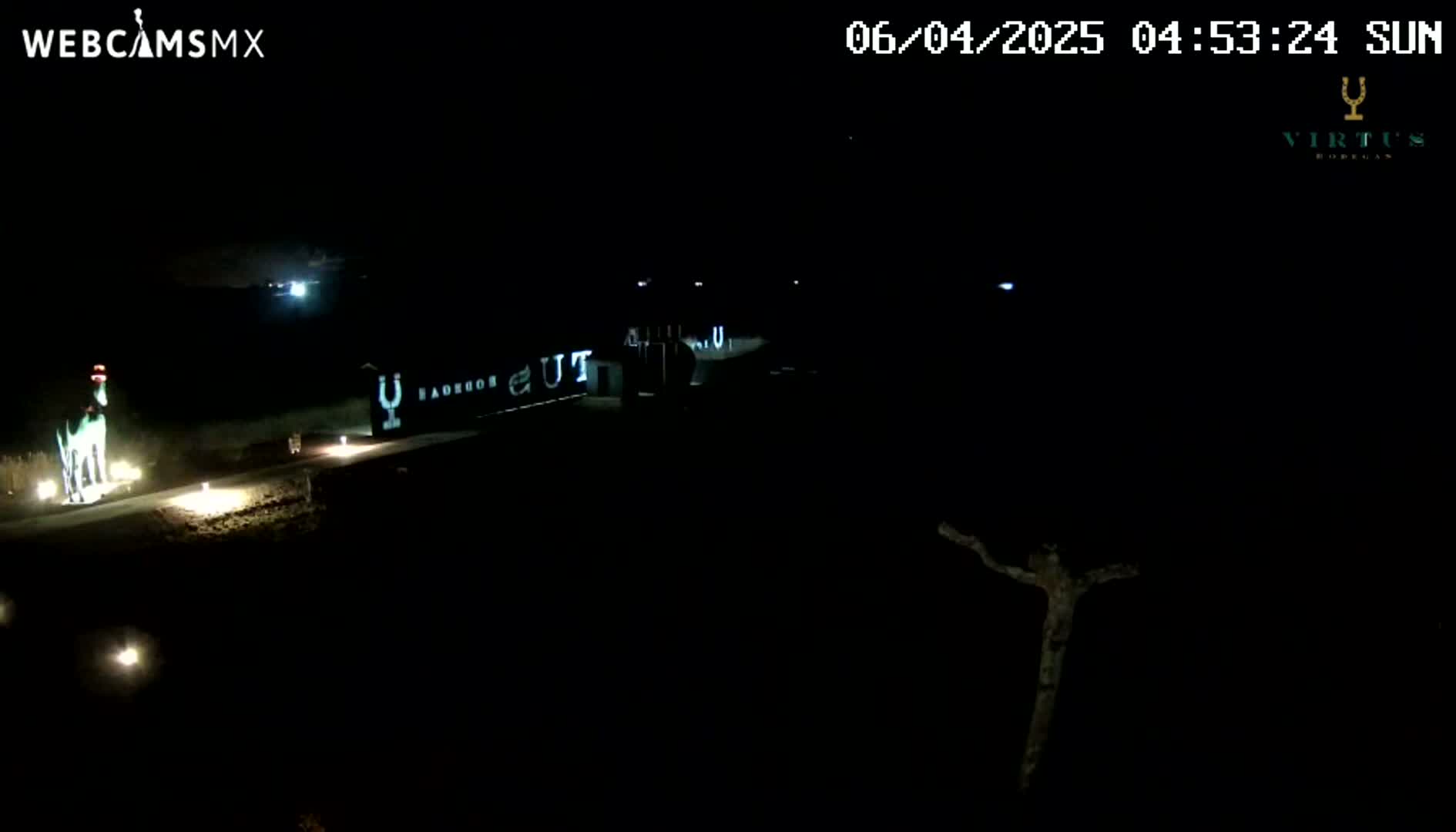 A nighttime outdoor scene shows a dimly lit area with a structure bearing faint lettering, a small illuminated figure resembling a horse, and a dark, leafless tree silhouetted against the night sky.